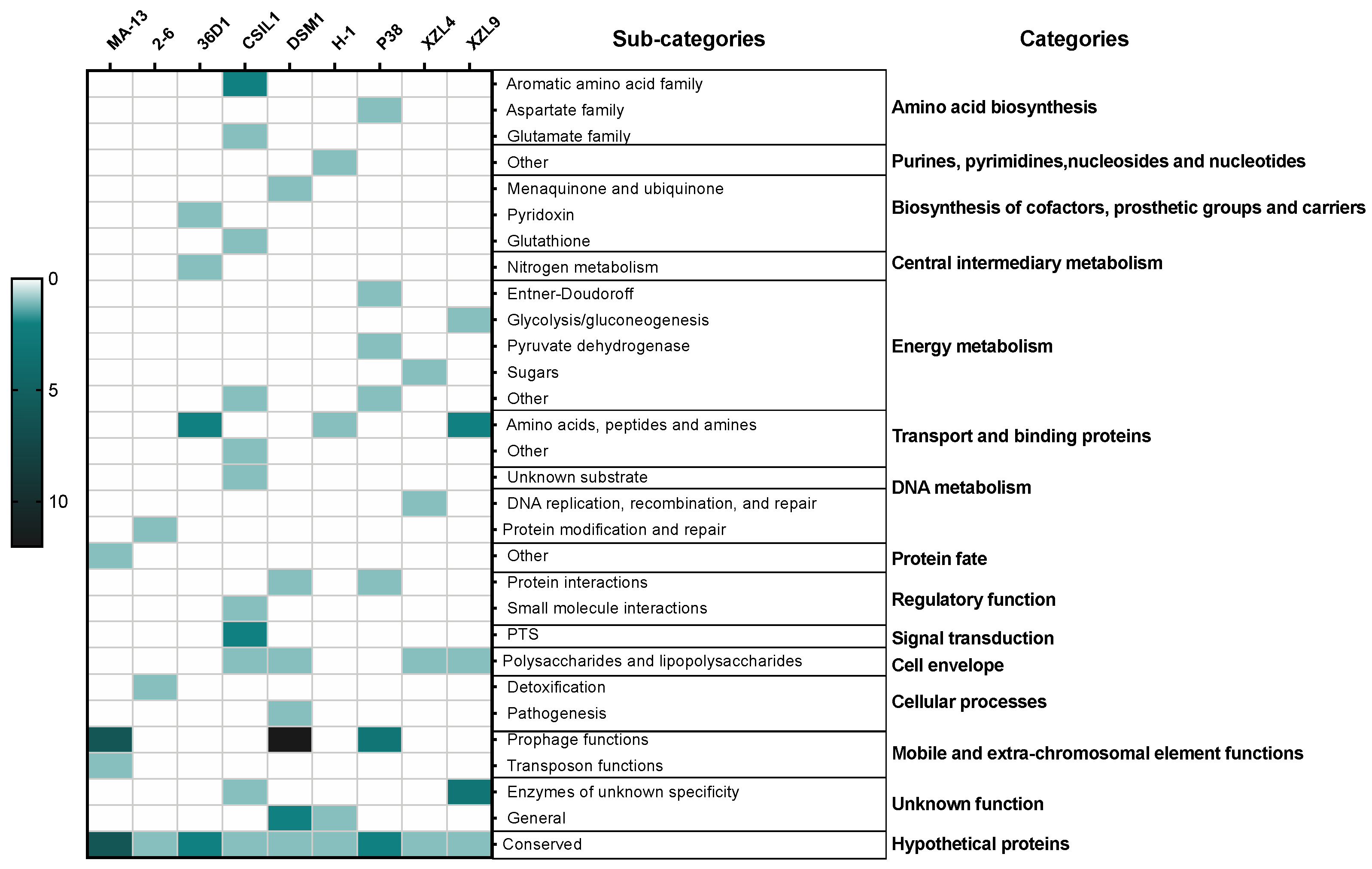 Ijms 23 03135 g003 Ijms 23 03135 g003
