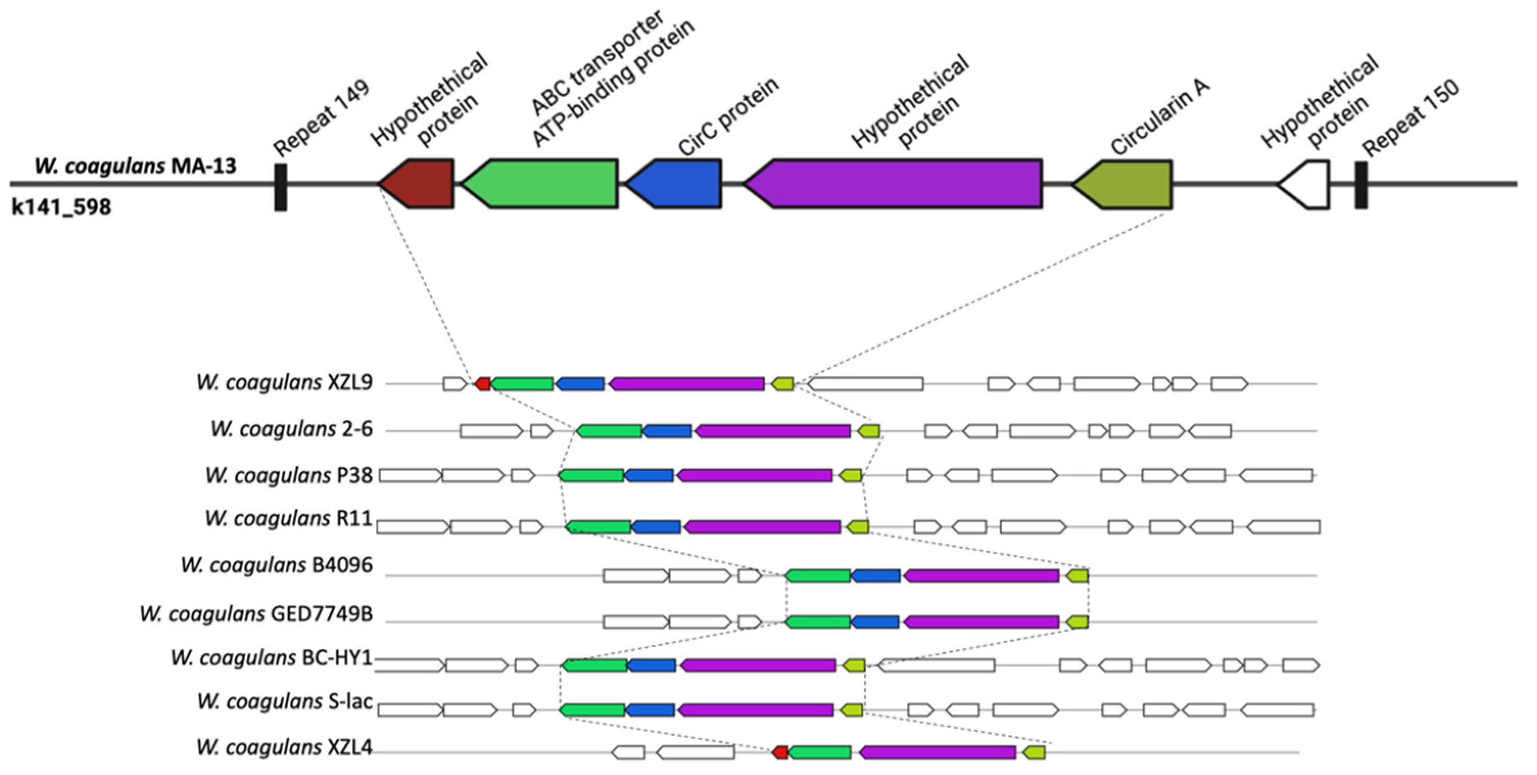 Ijms 23 03135 g006 Ijms 23 03135 g006