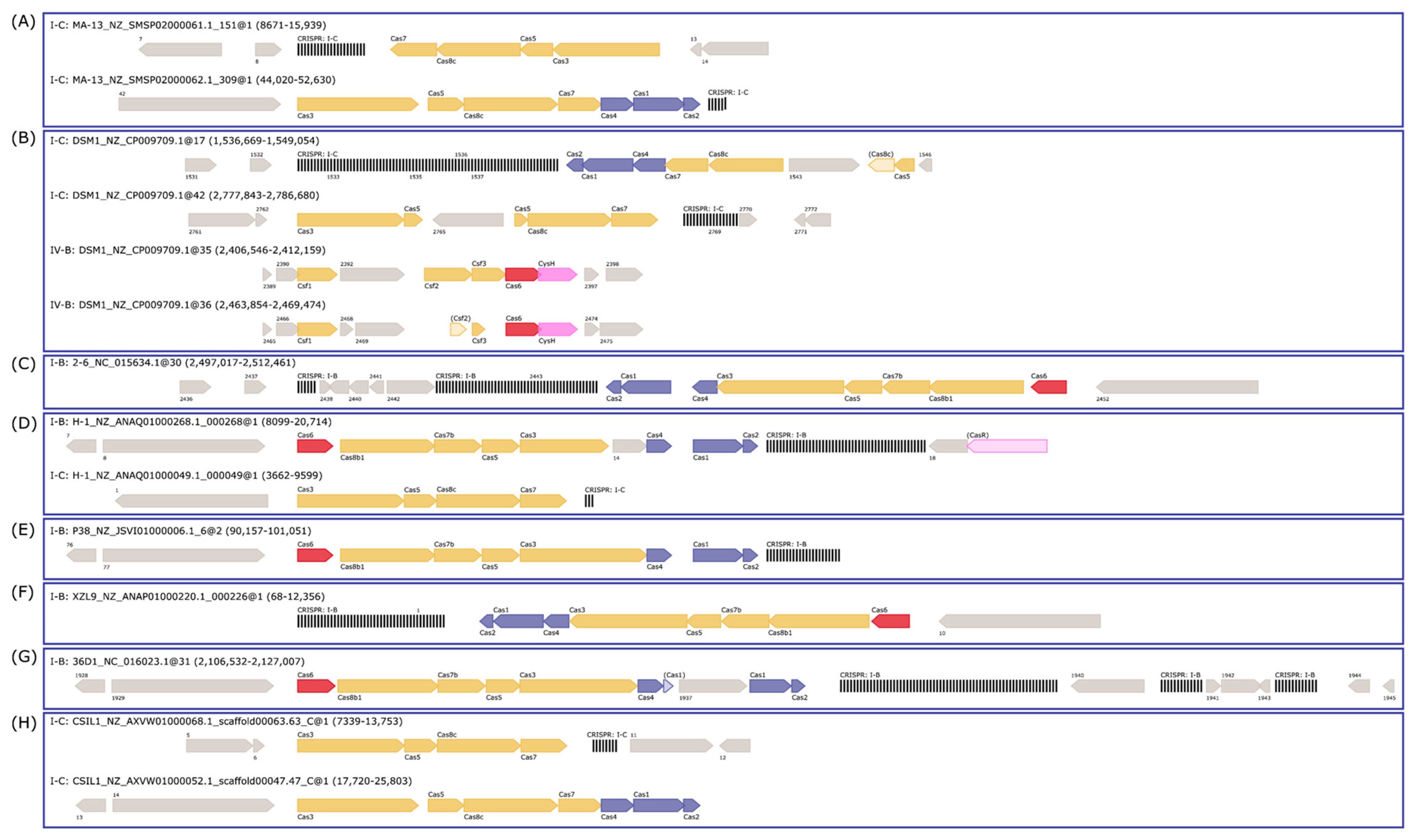 Ijms 23 03135 g008 Ijms 23 03135 g008