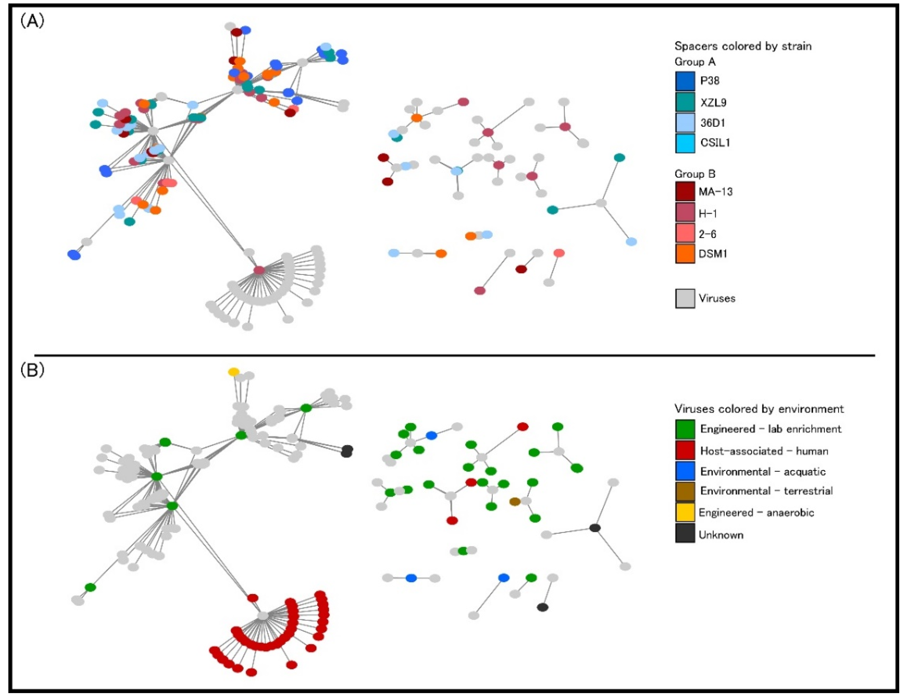 Ijms 23 03135 g010 Ijms 23 03135 g010