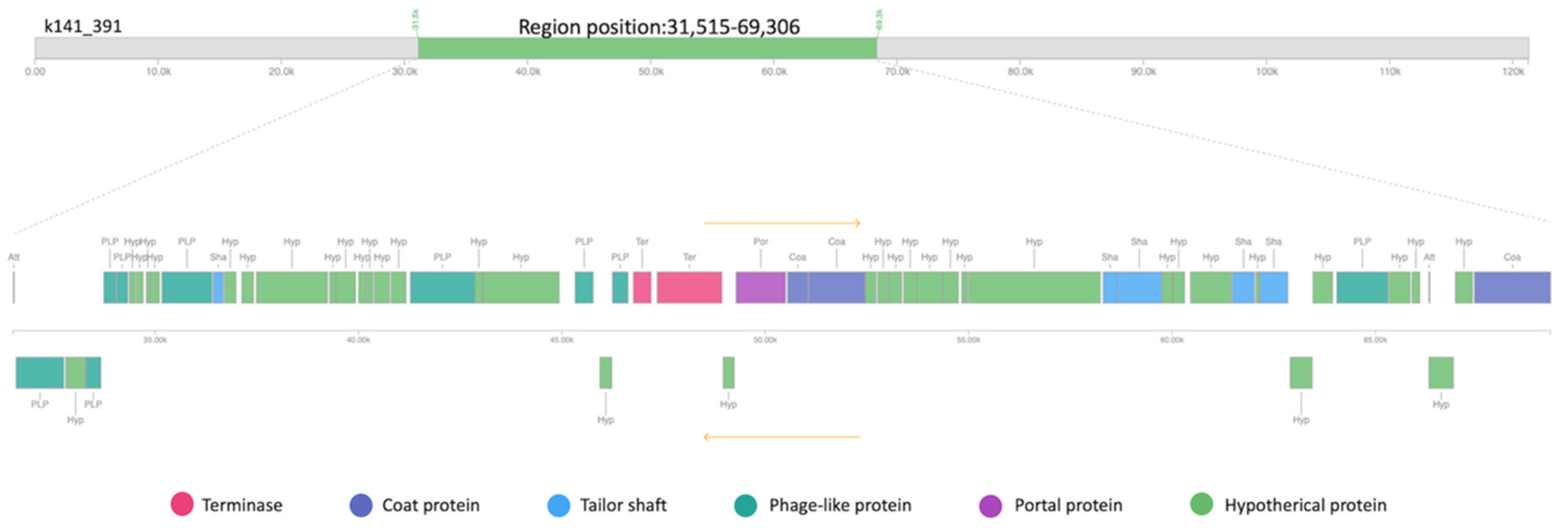 Ijms 23 03135 g012 Ijms 23 03135 g012