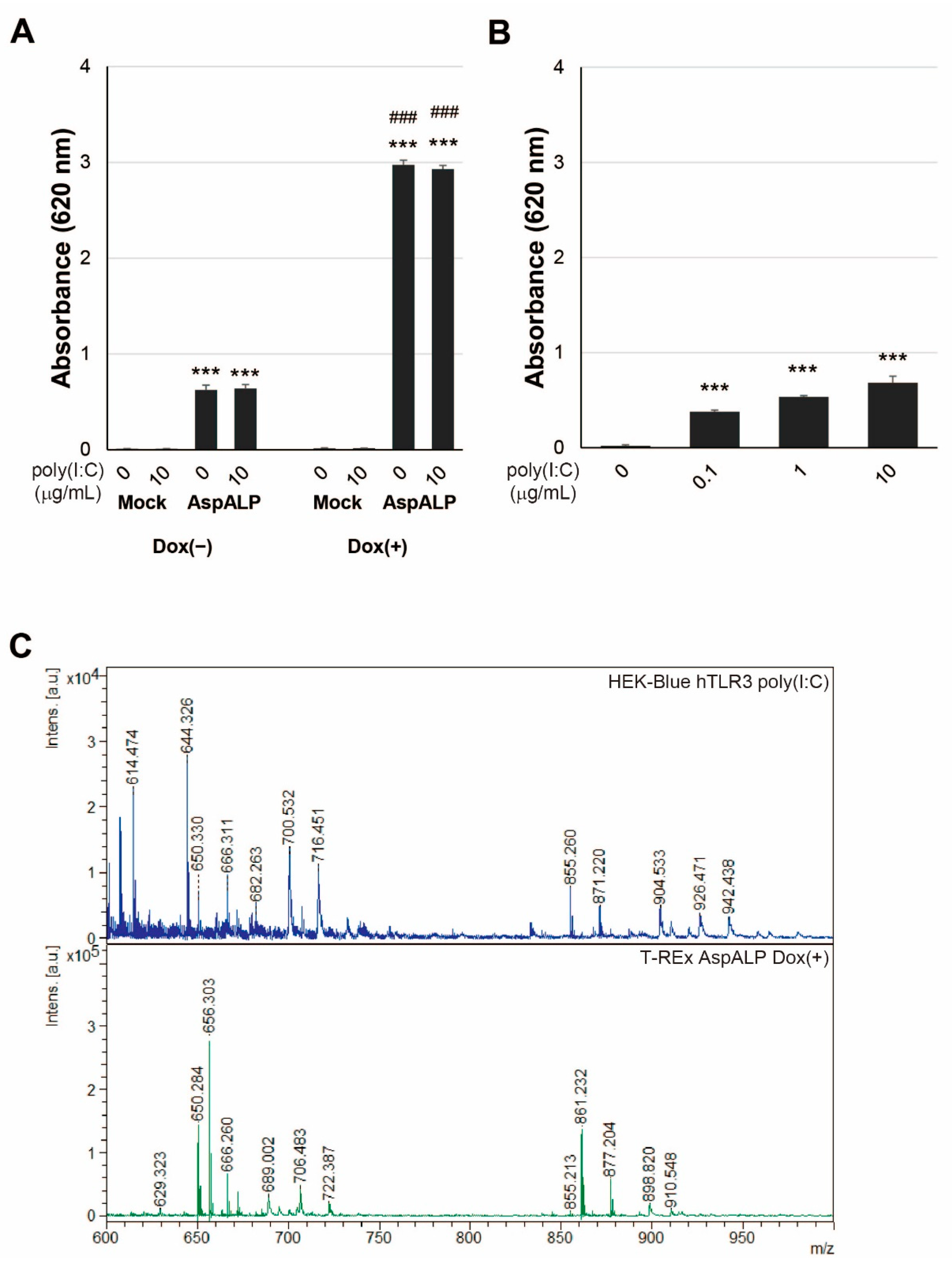 Ijms 23 03137 g001 Ijms 23 03137 g001