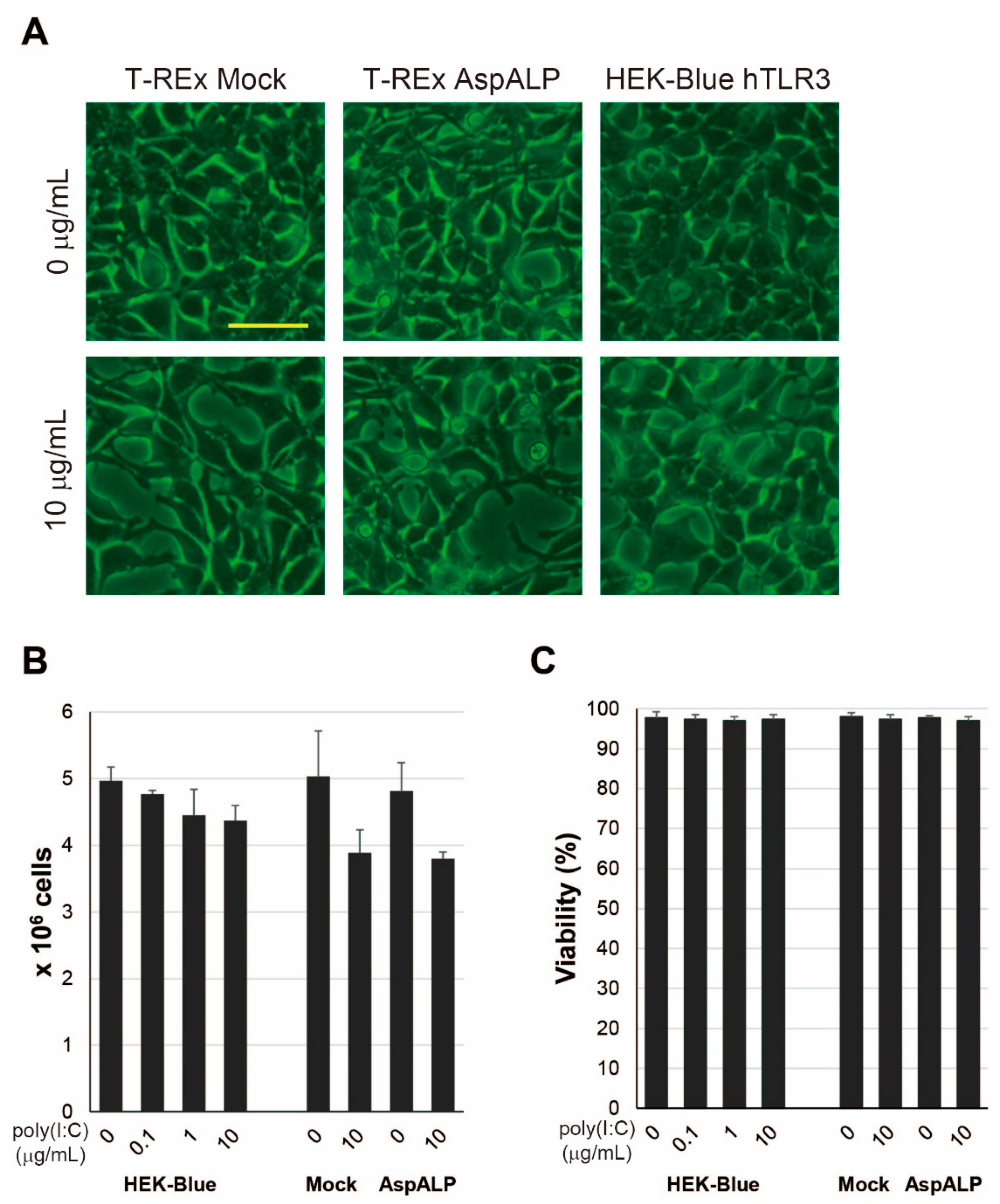 Ijms 23 03137 g003 Ijms 23 03137 g003