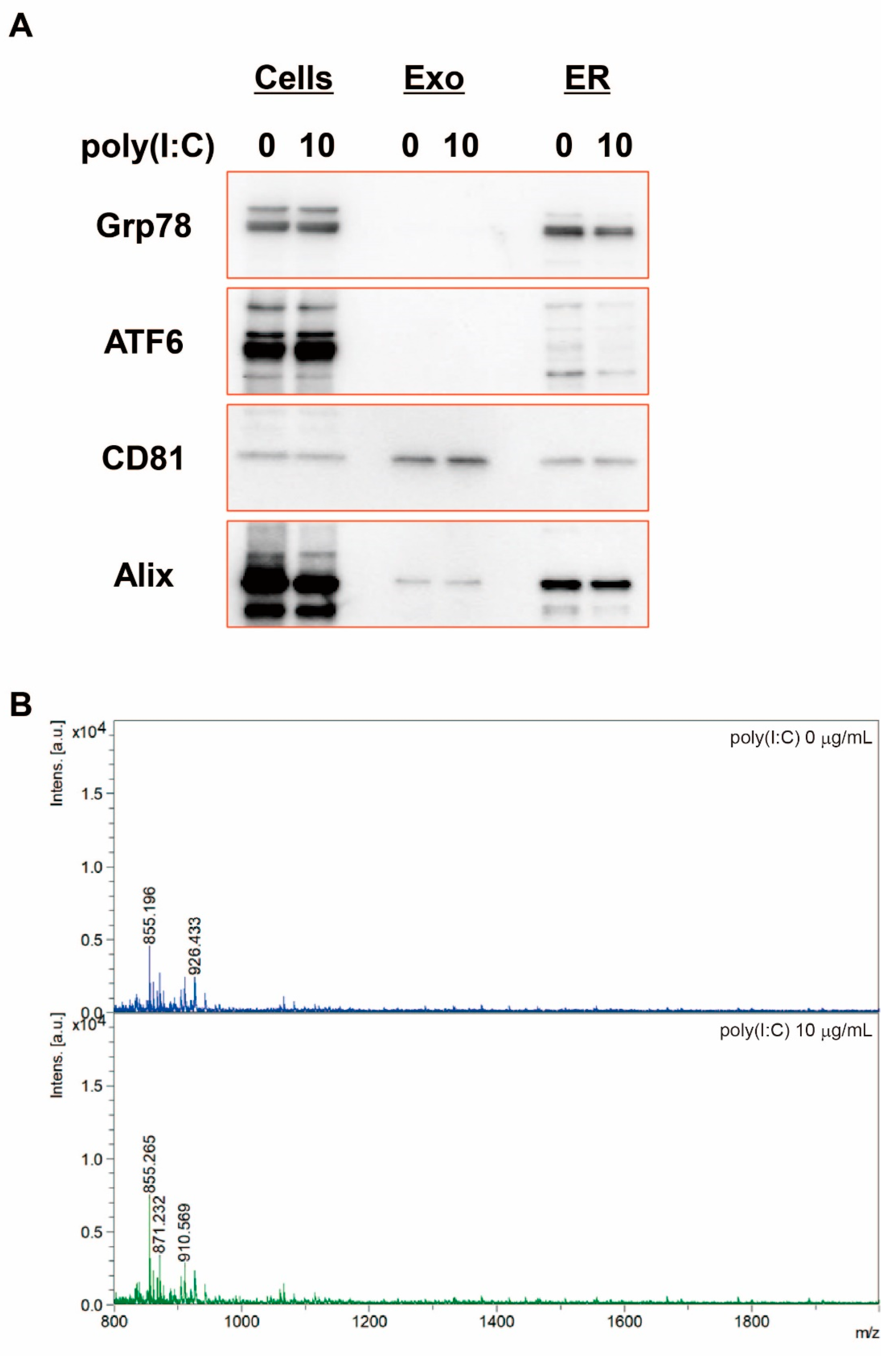 Ijms 23 03137 g005 Ijms 23 03137 g005