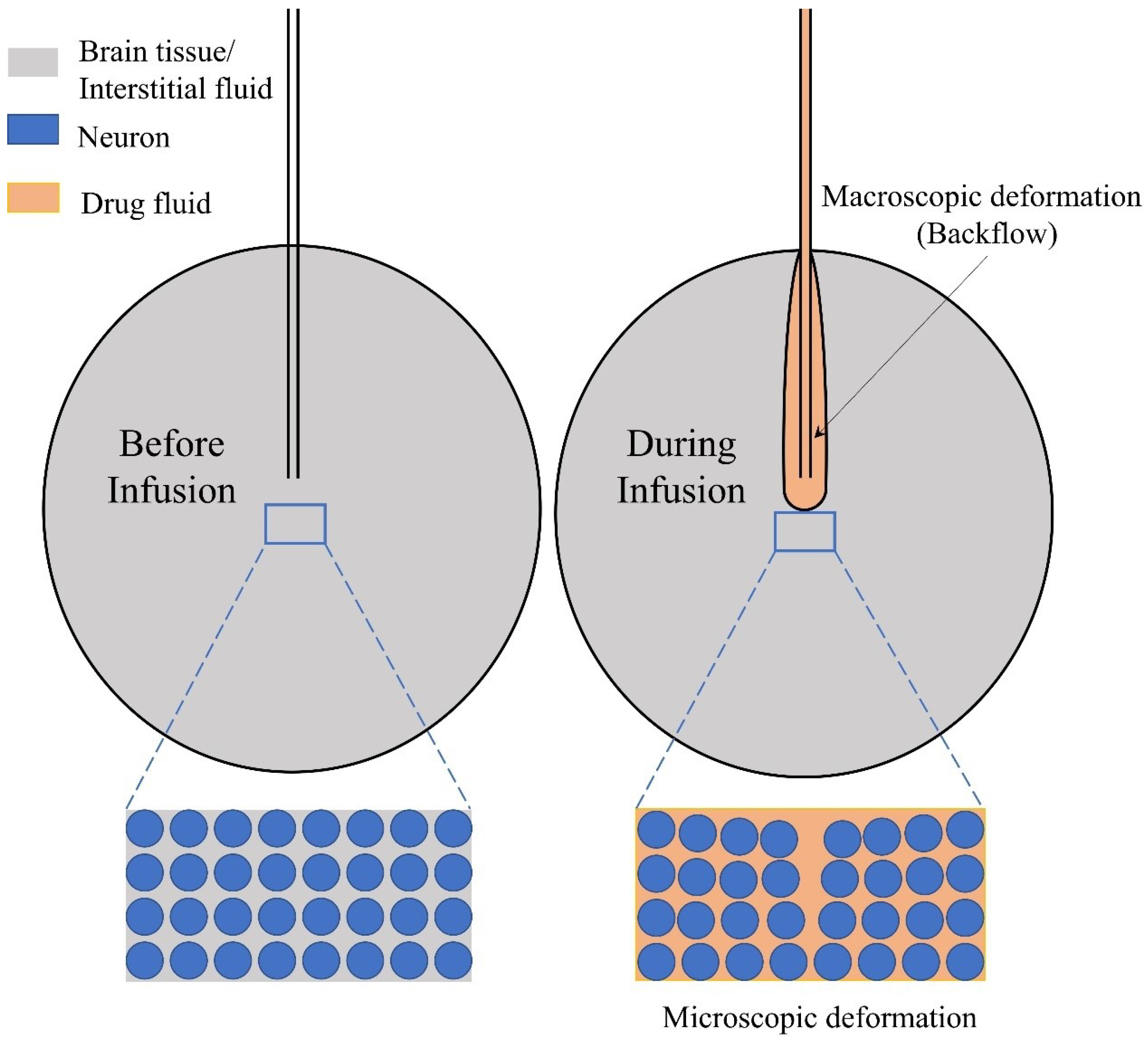 Ijms 23 03139 g003 550
