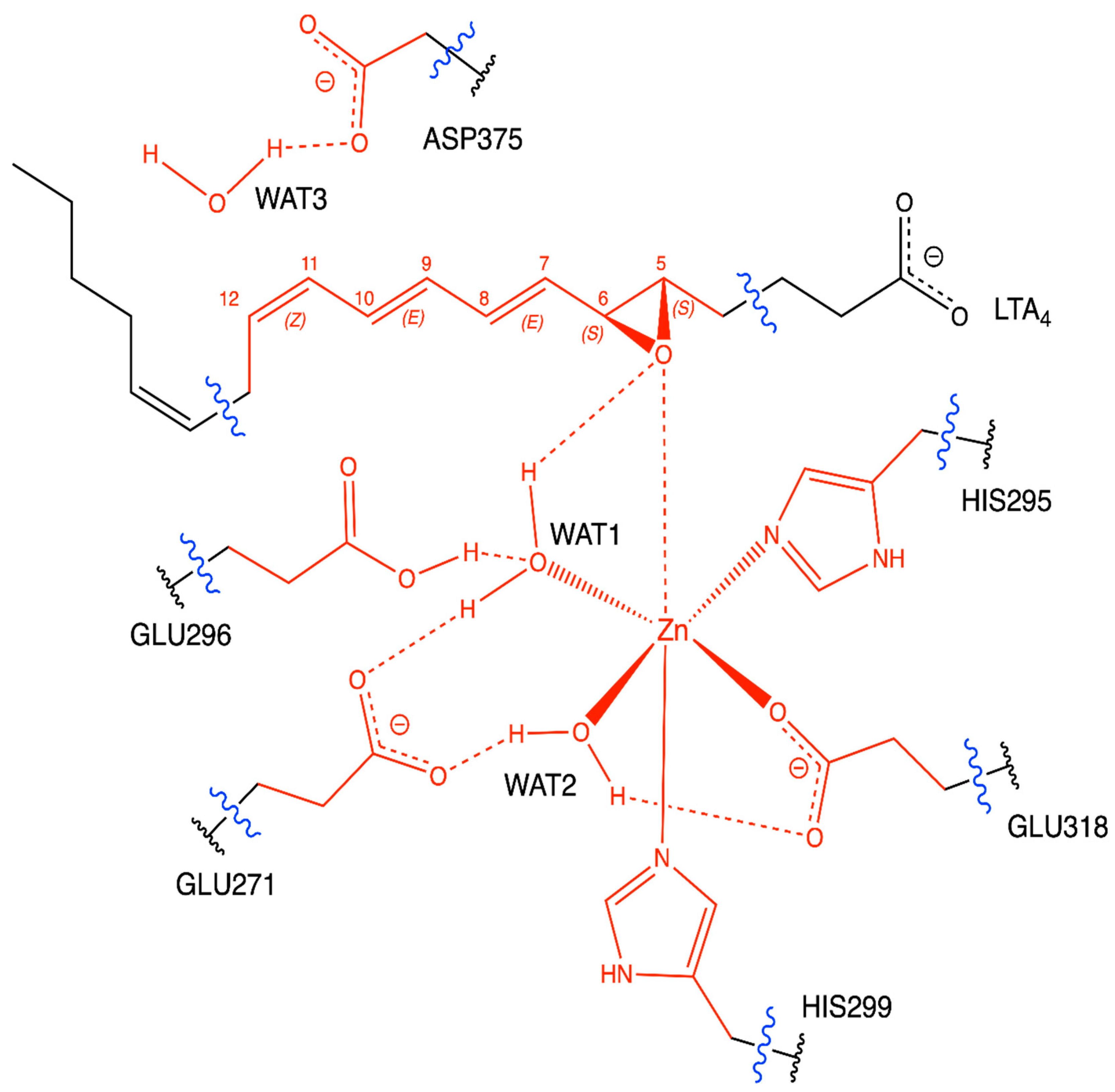Ijms 23 03140 g002 550