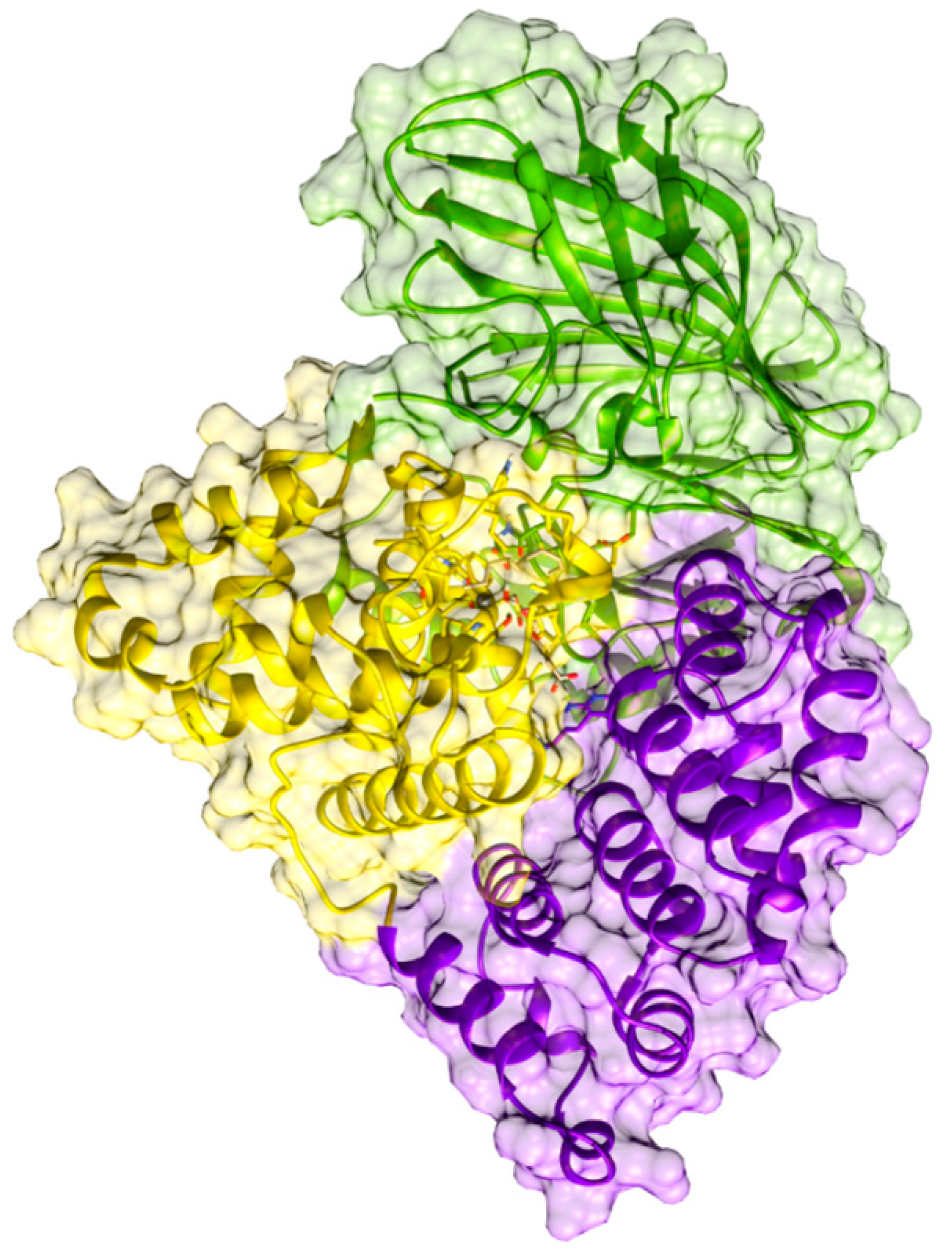 Ijms 23 03140 g003 550