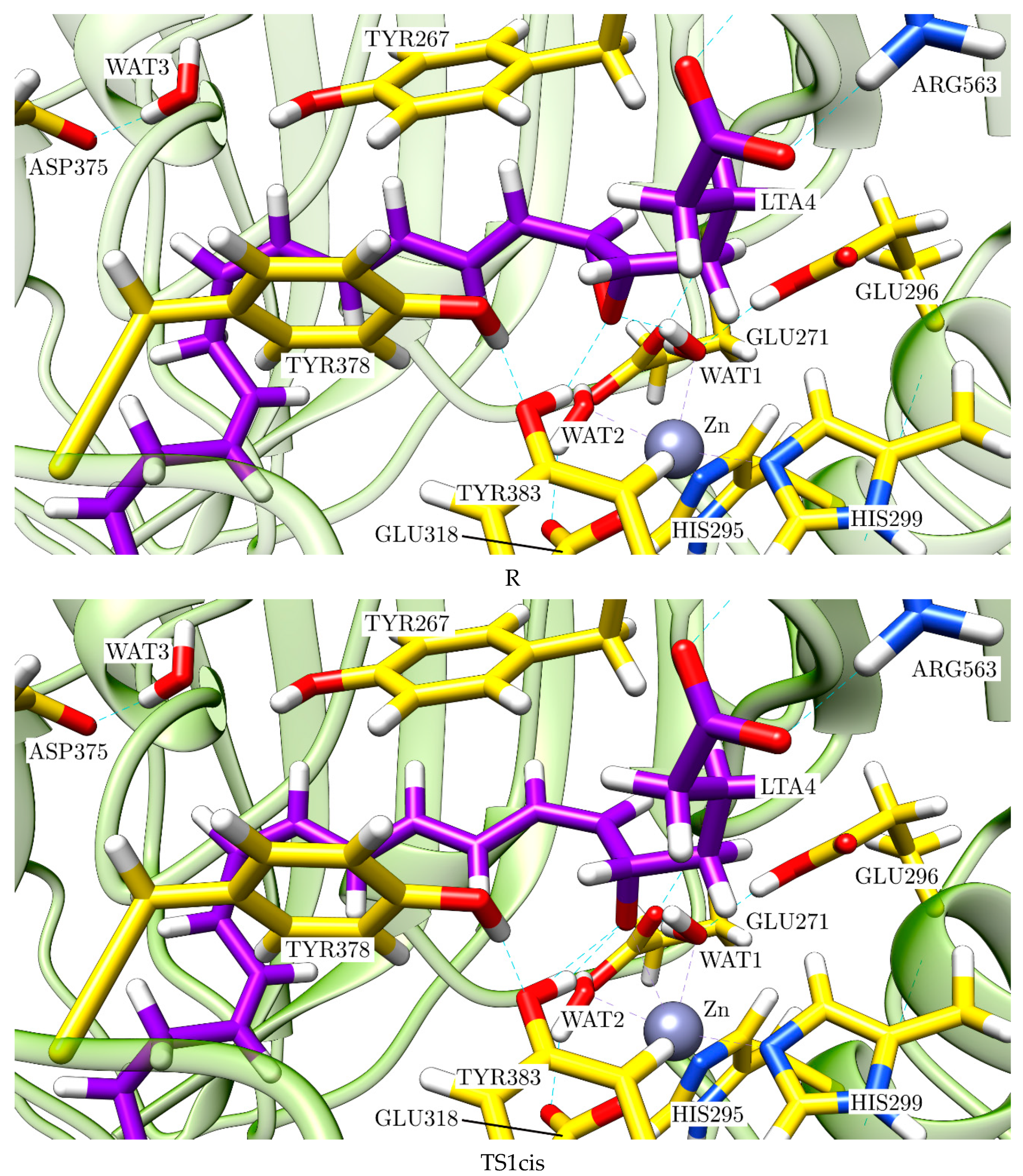 Ijms 23 03140 g013a 550