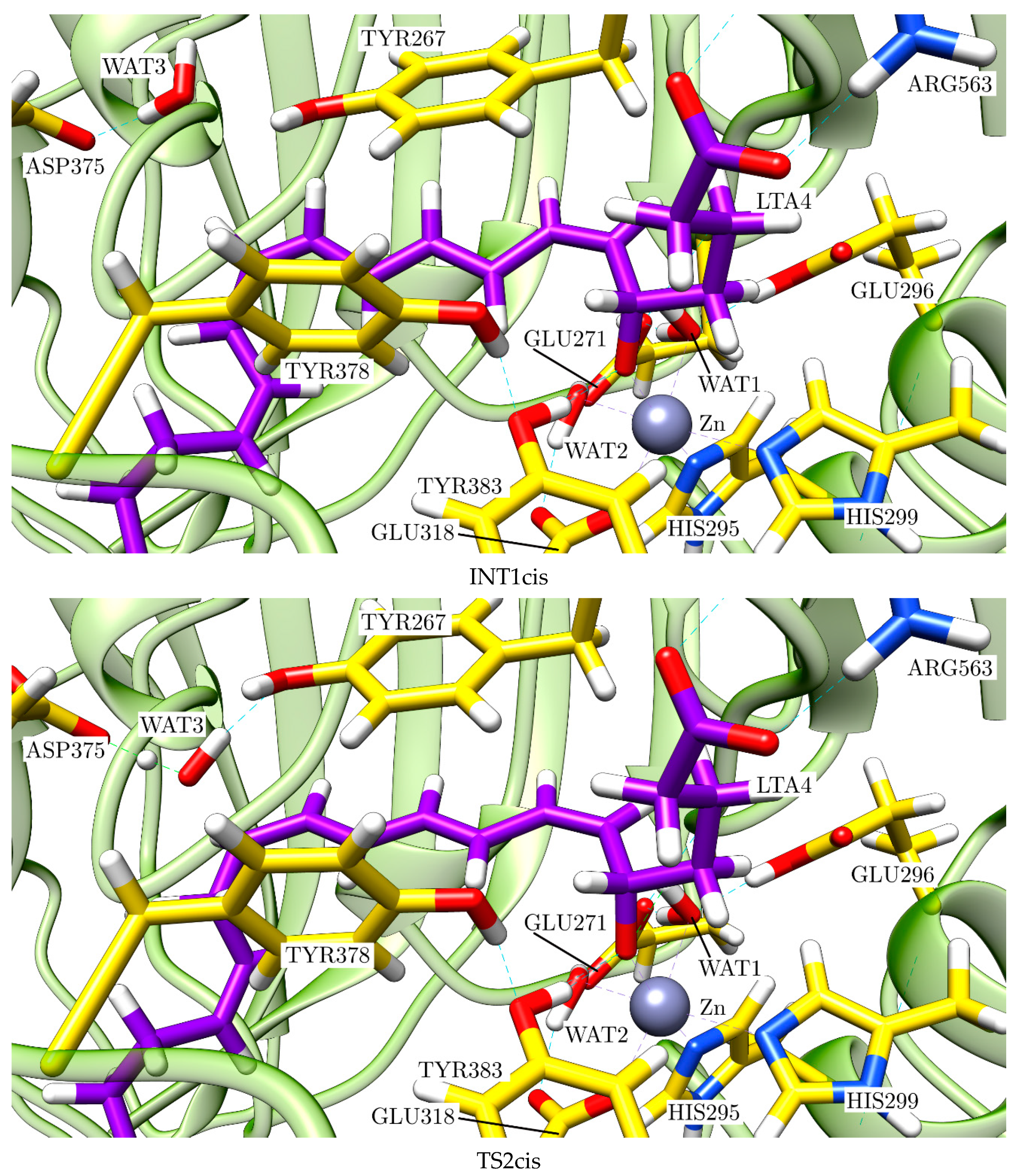 Ijms 23 03140 g013b 550