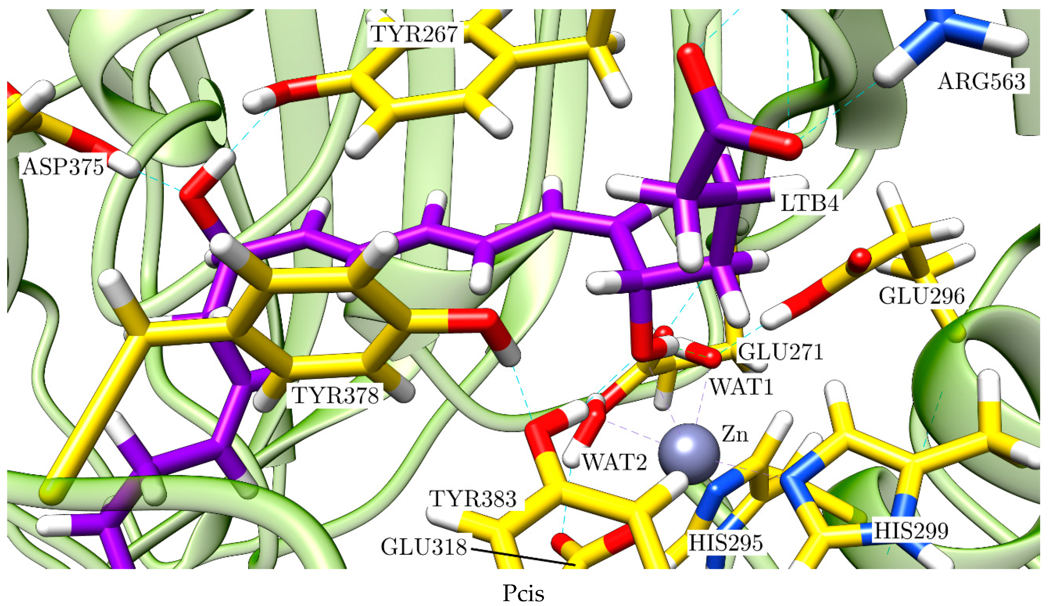 Ijms 23 03140 g013d 550