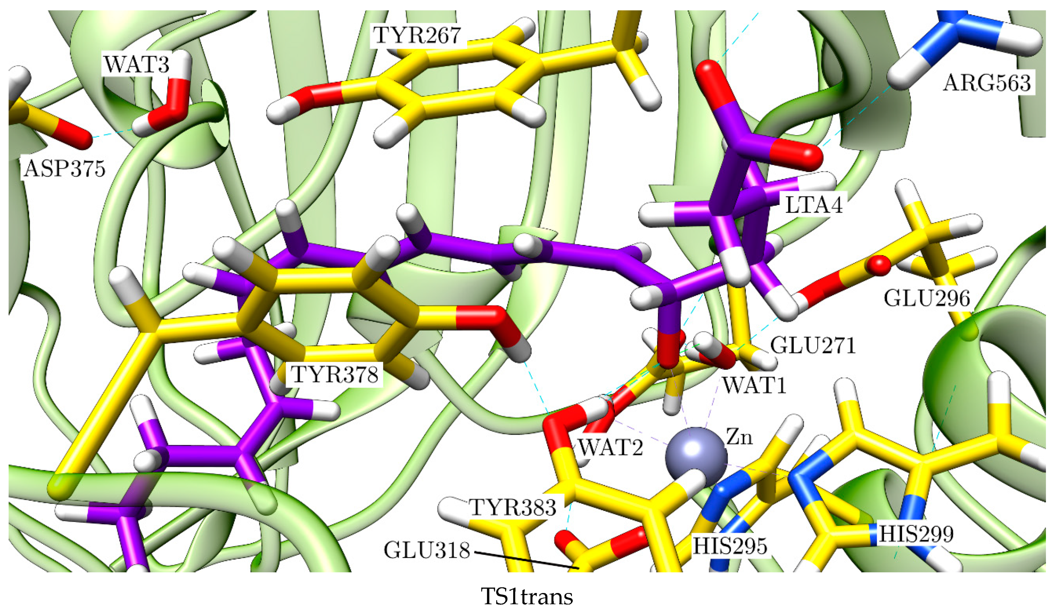 Ijms 23 03140 g014a 550