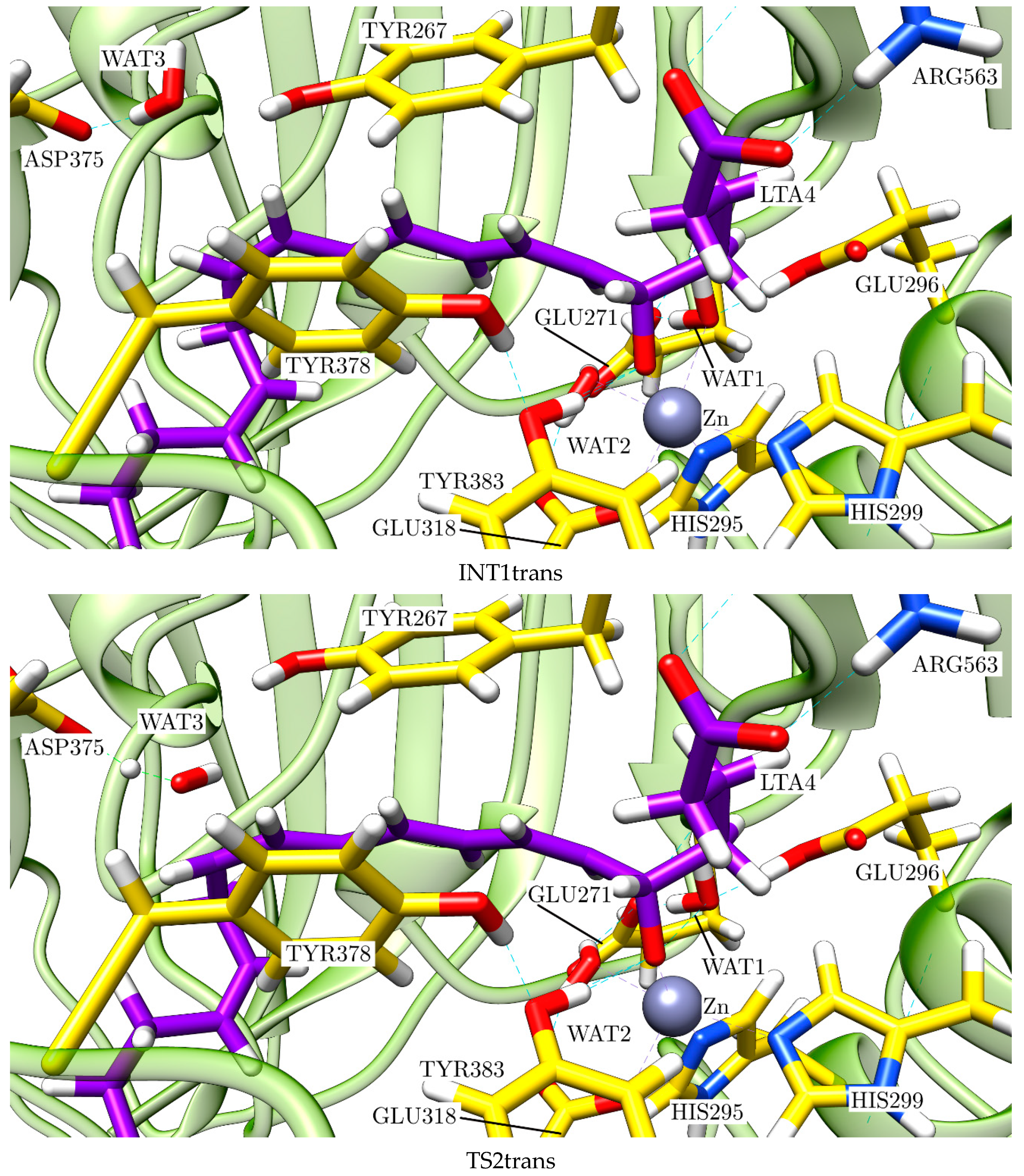 Ijms 23 03140 g014b 550