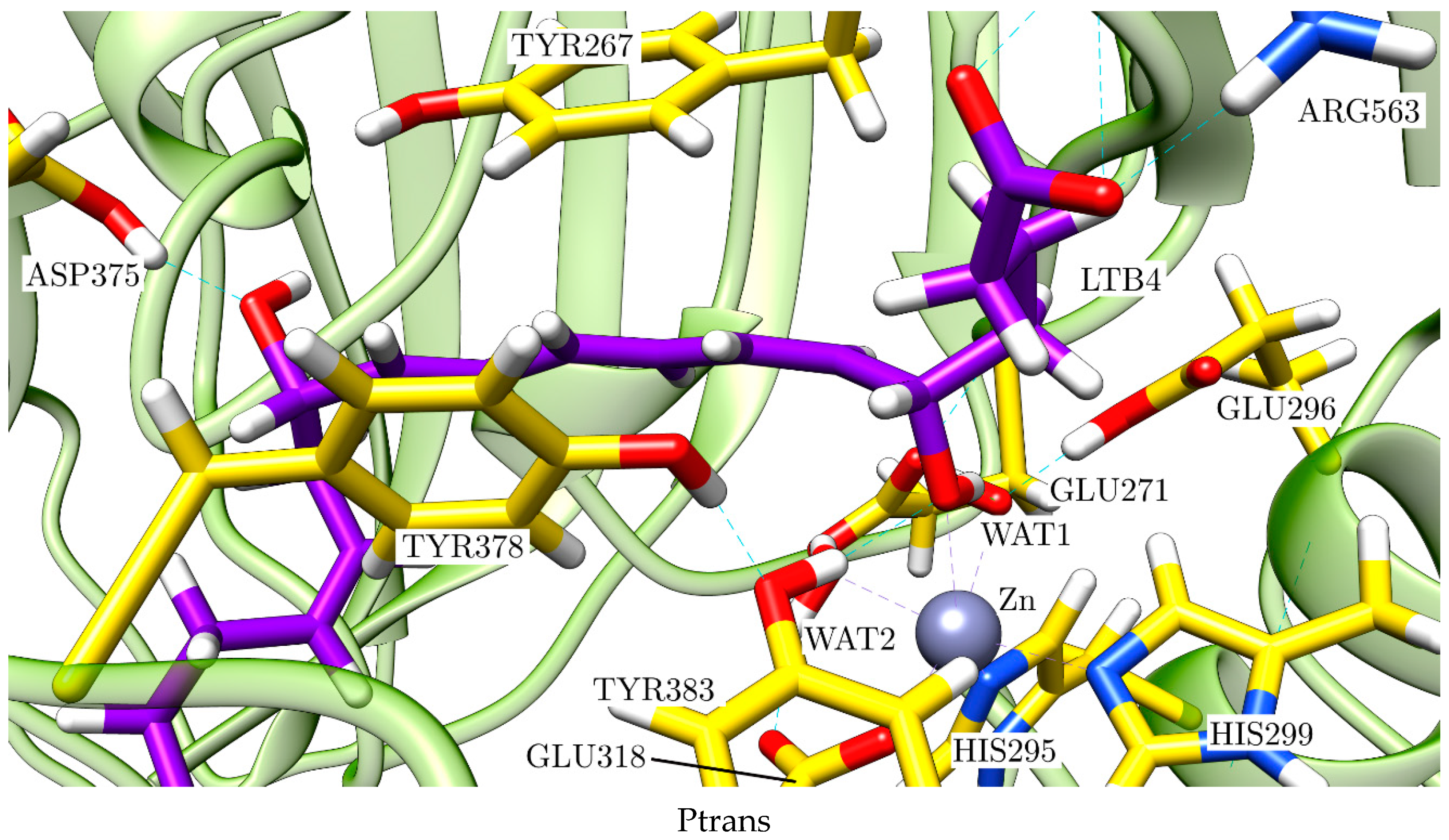 Ijms 23 03140 g014d 550