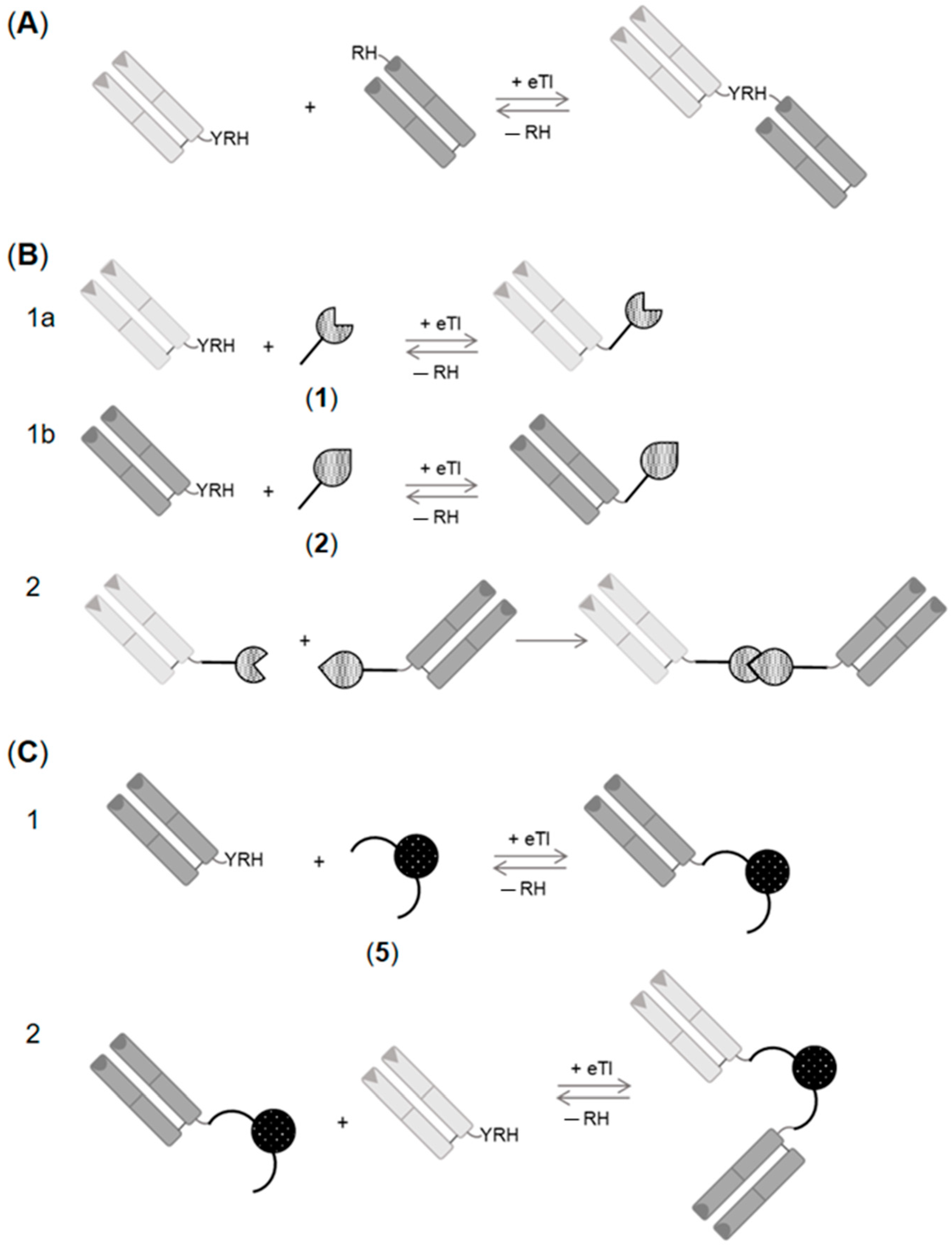 Ijms 23 03144 sch001