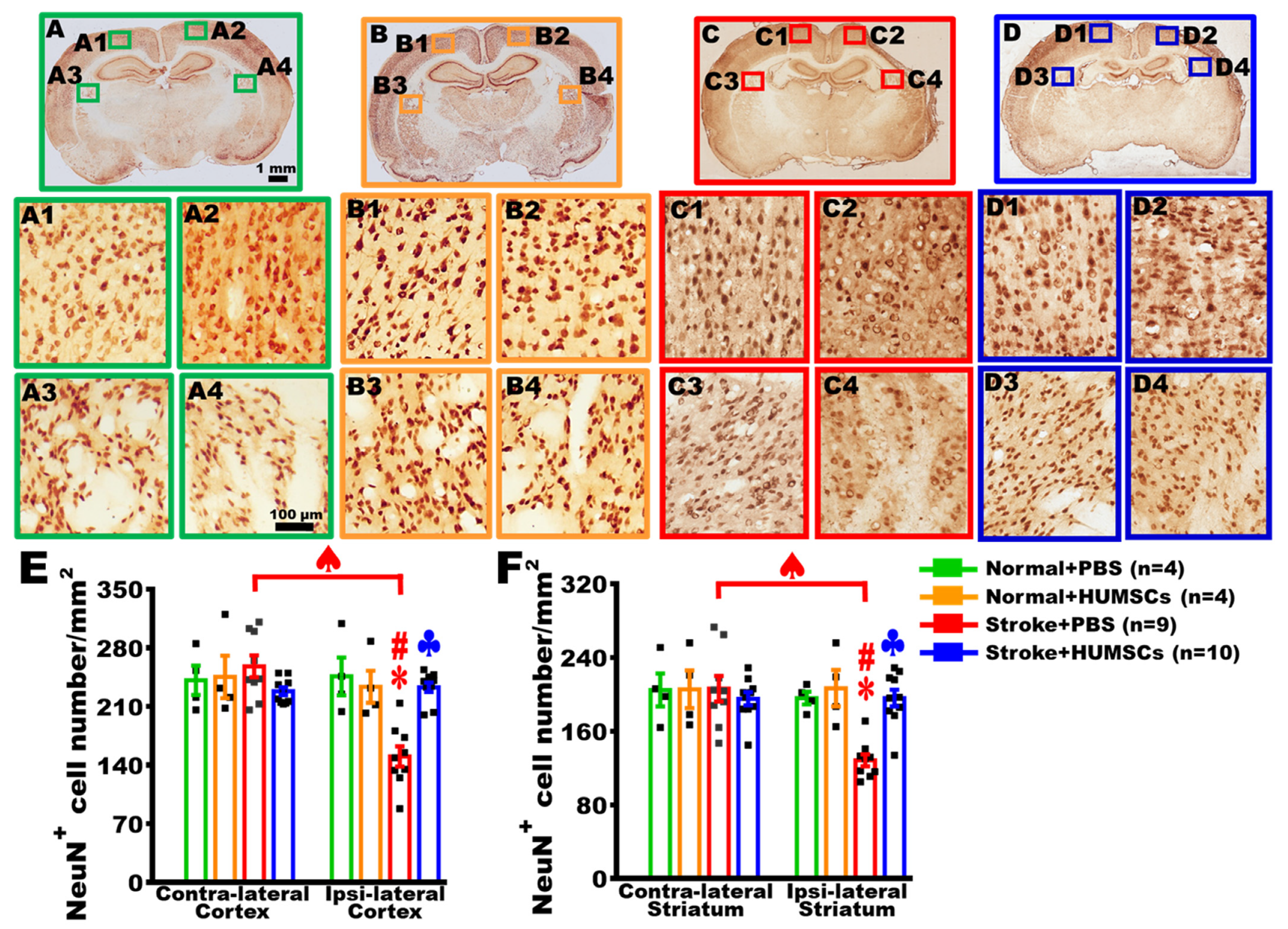Ijms 23 03149 g004 550