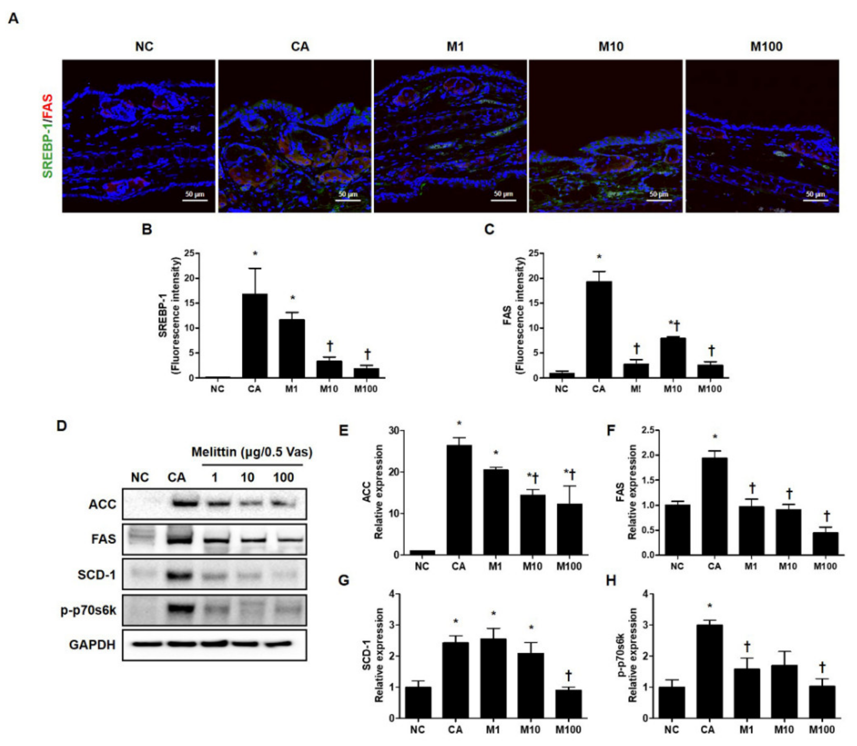 Ijms 23 03152 g003 550