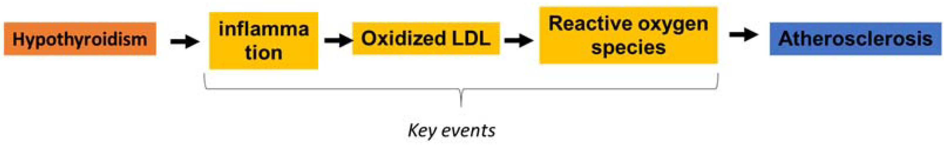 Ijms 23 03153 g003 550