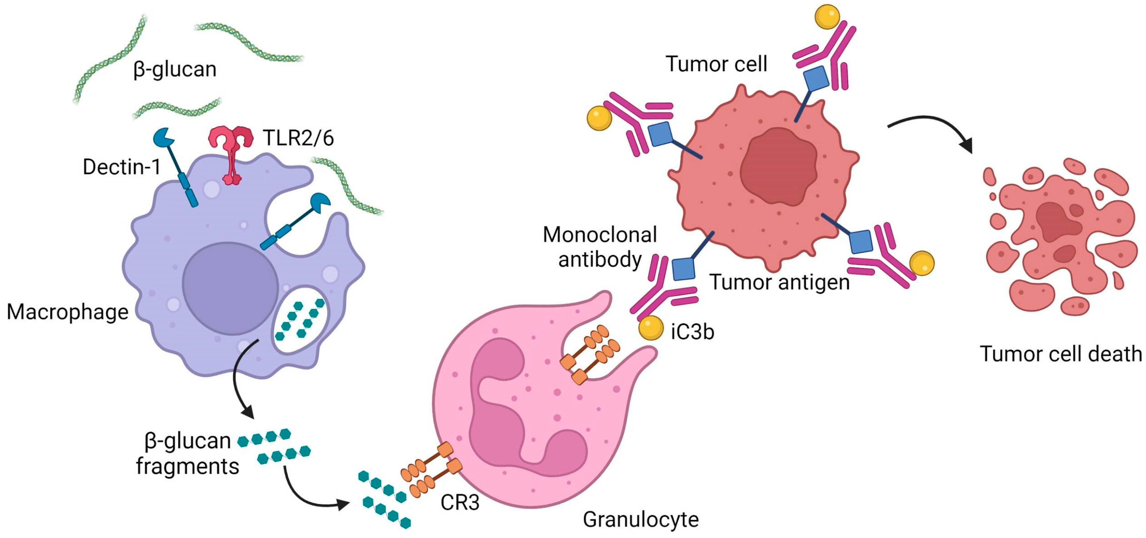 IJMS Free FullText From Cancer Therapy to Winemaking The