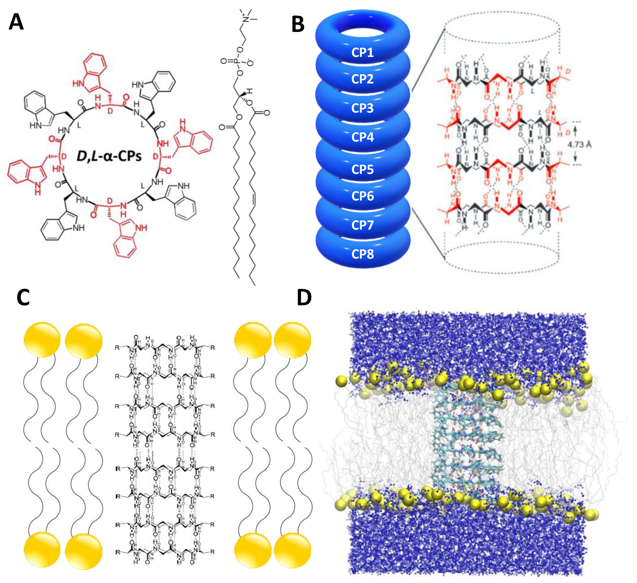 Ijms 23 03158 g001 Ijms 23 03158 g001