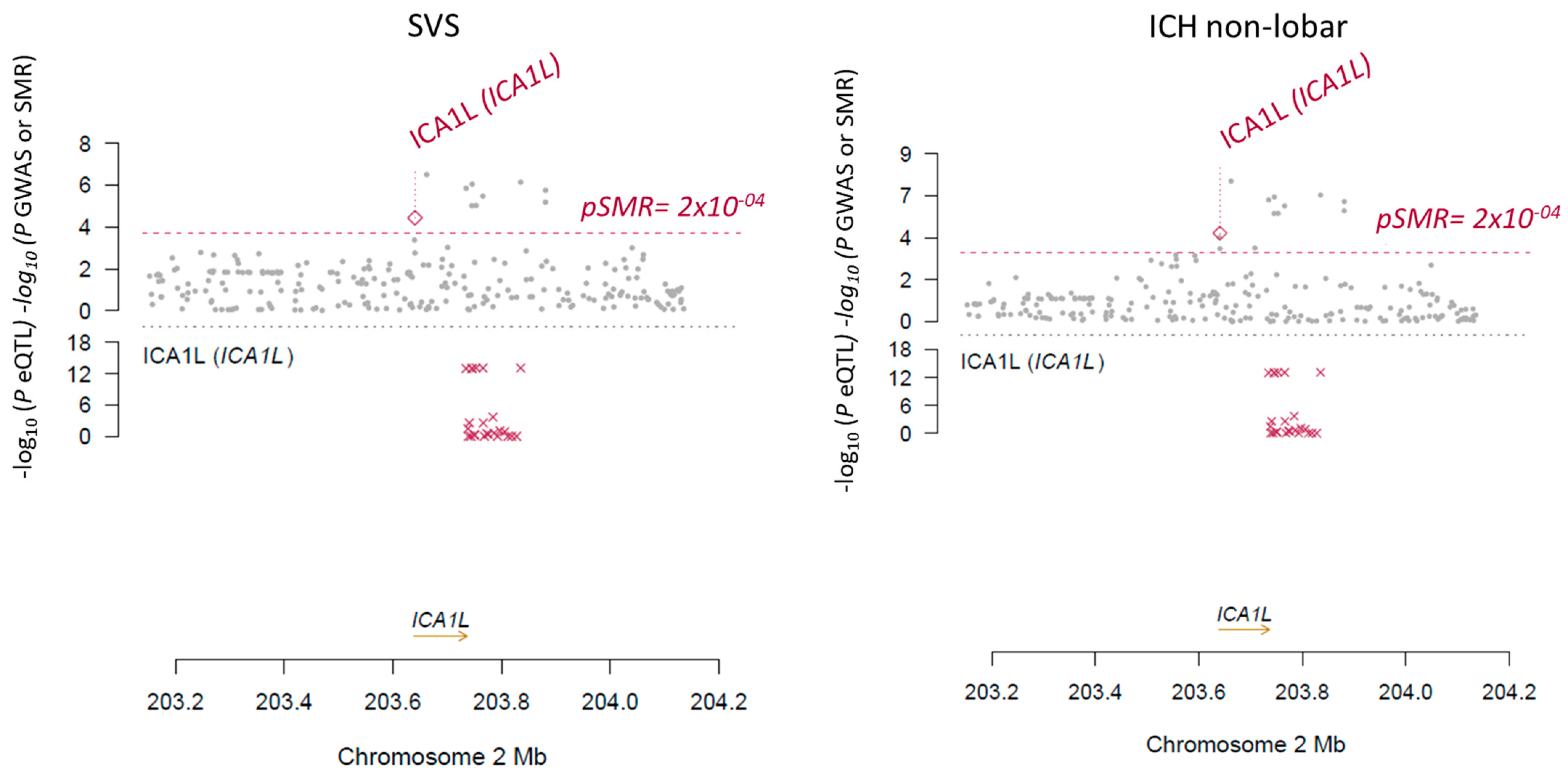 Ijms 23 03161 g001 550