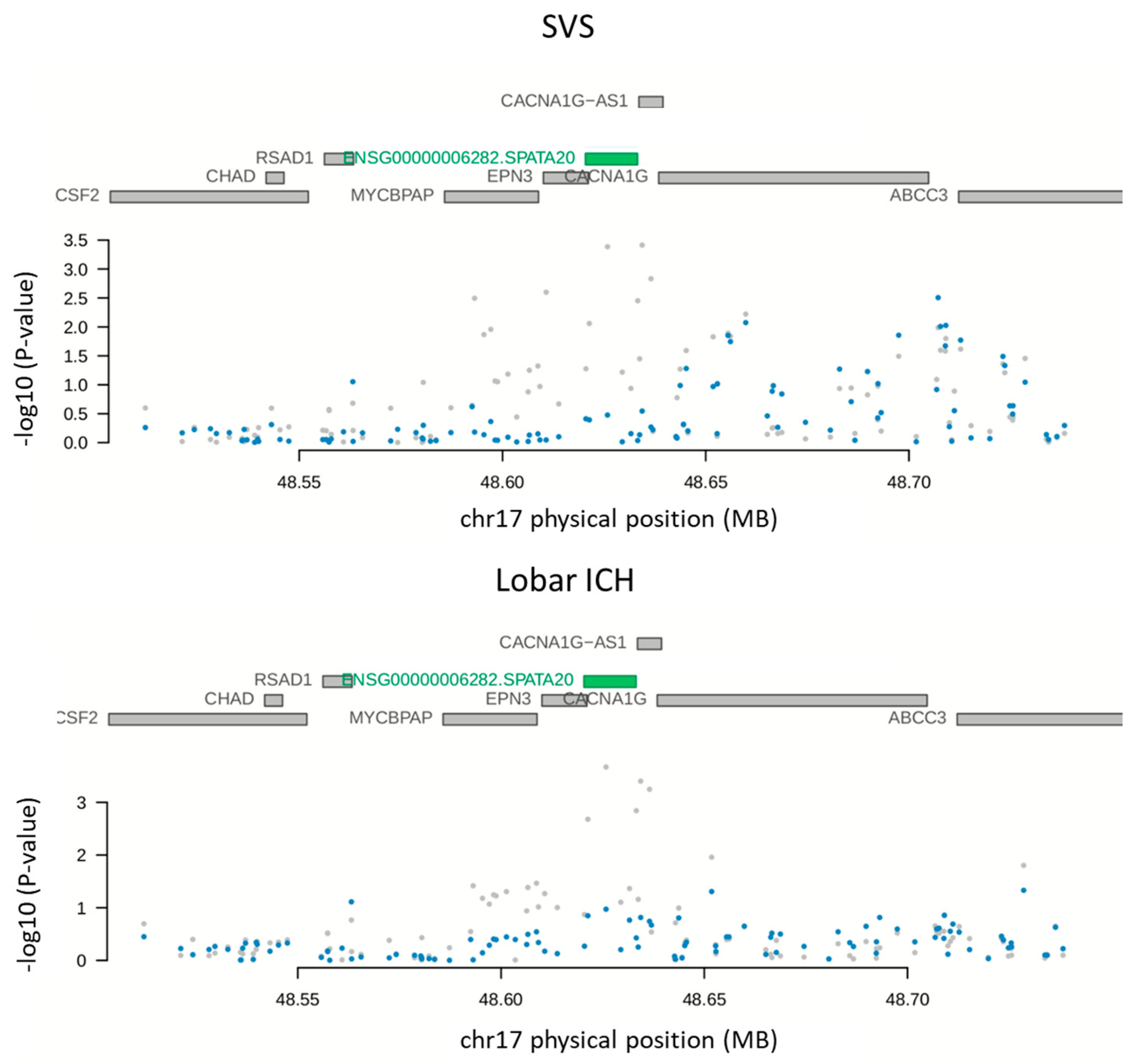 Ijms 23 03161 g003 550