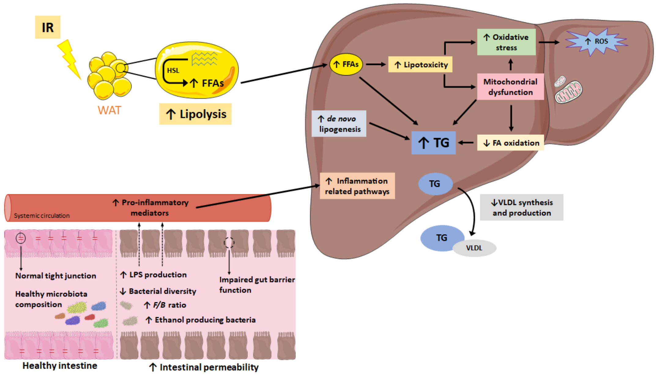 Ijms 23 03167 g001 550