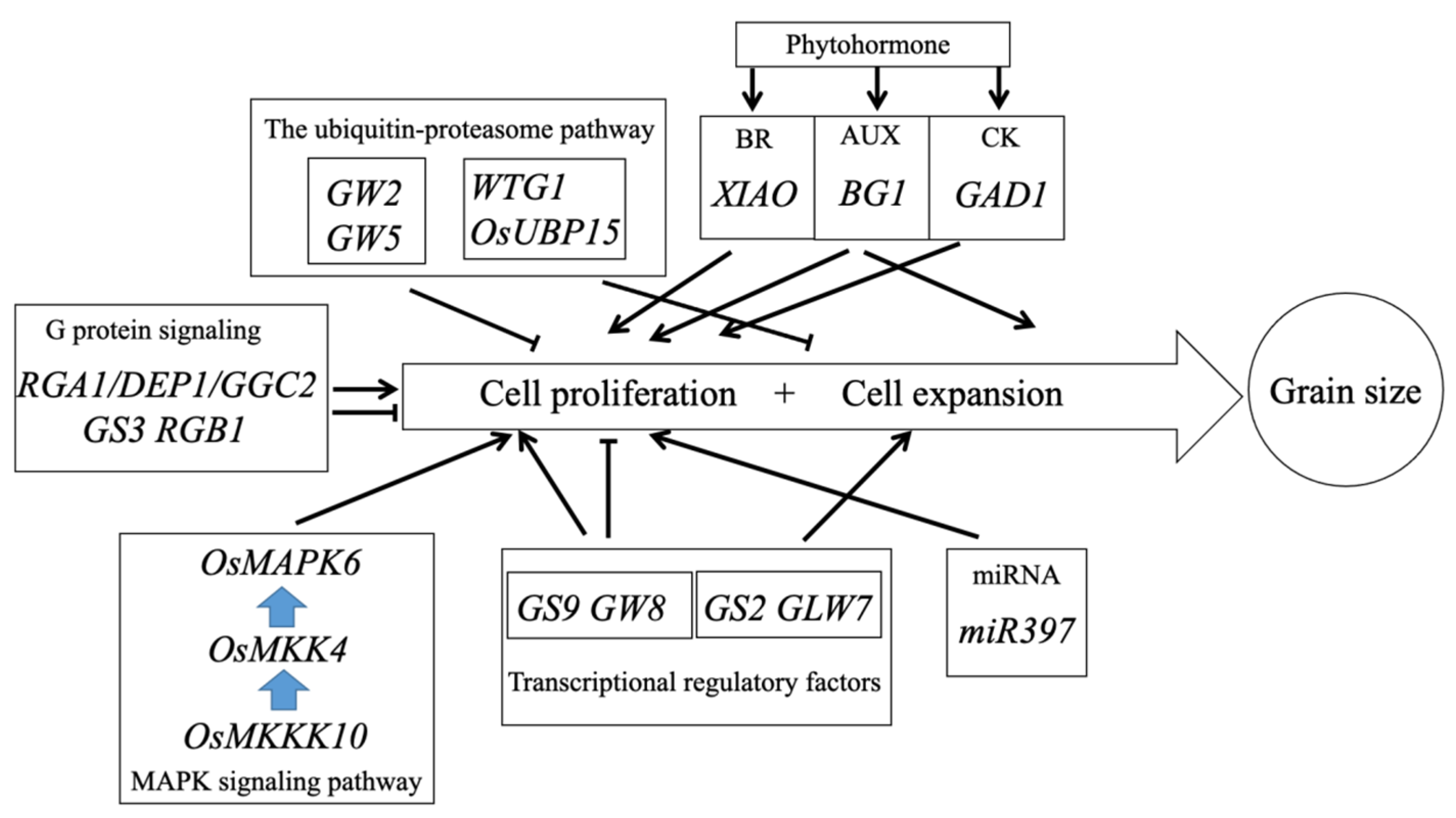 Ijms 23 03169 g002 550