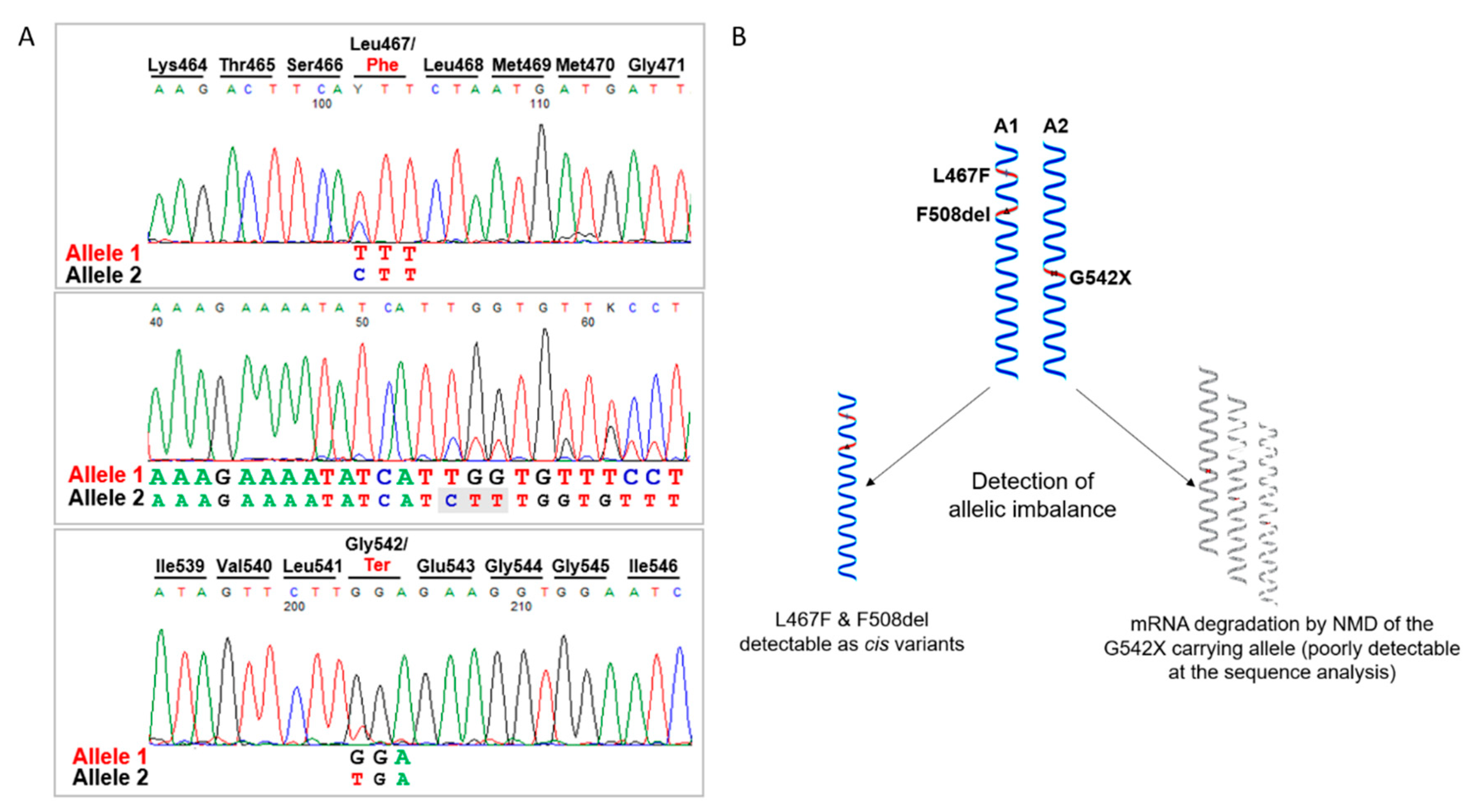 Ijms 23 03175 g002 550