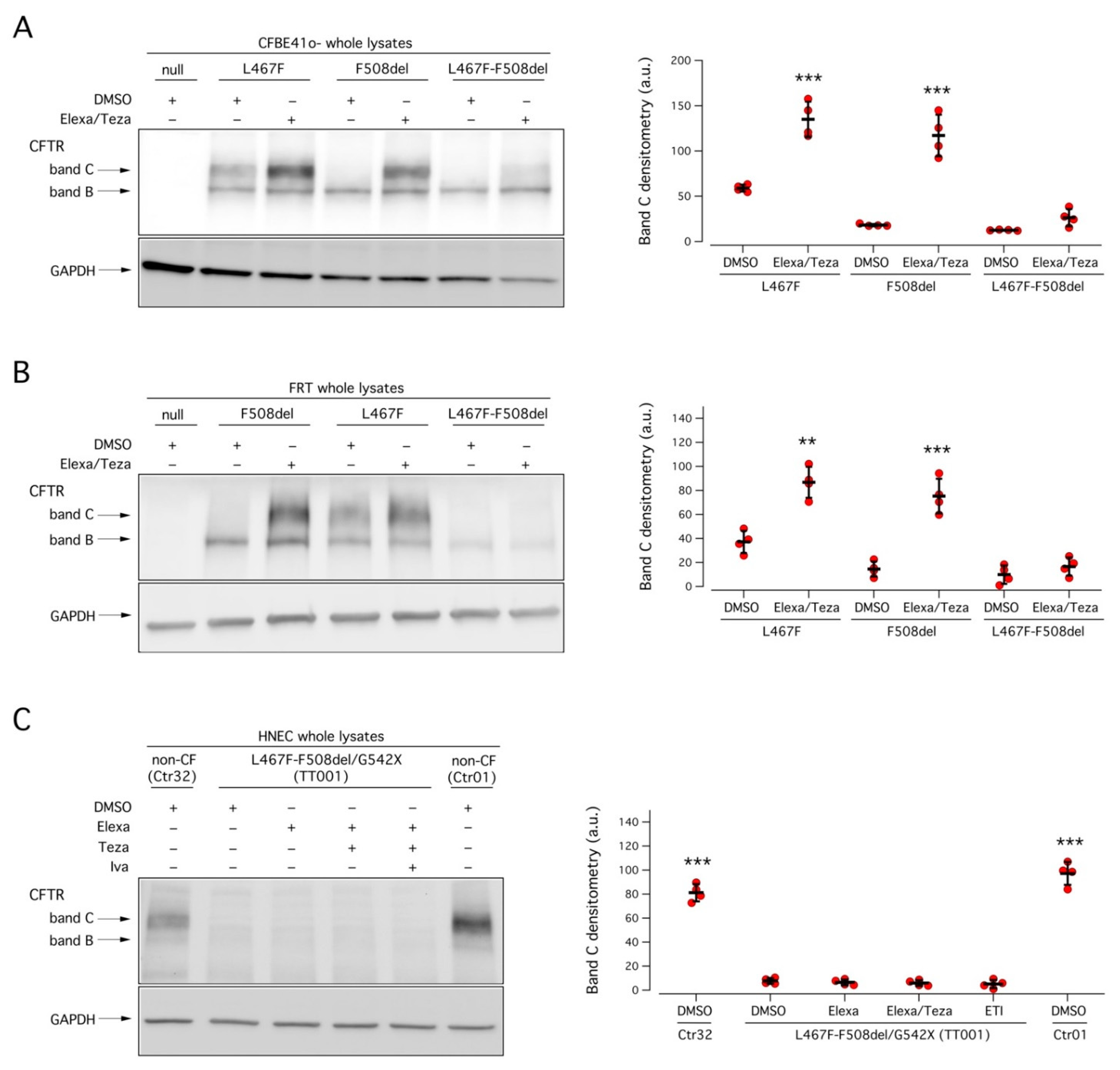 Ijms 23 03175 g005 550