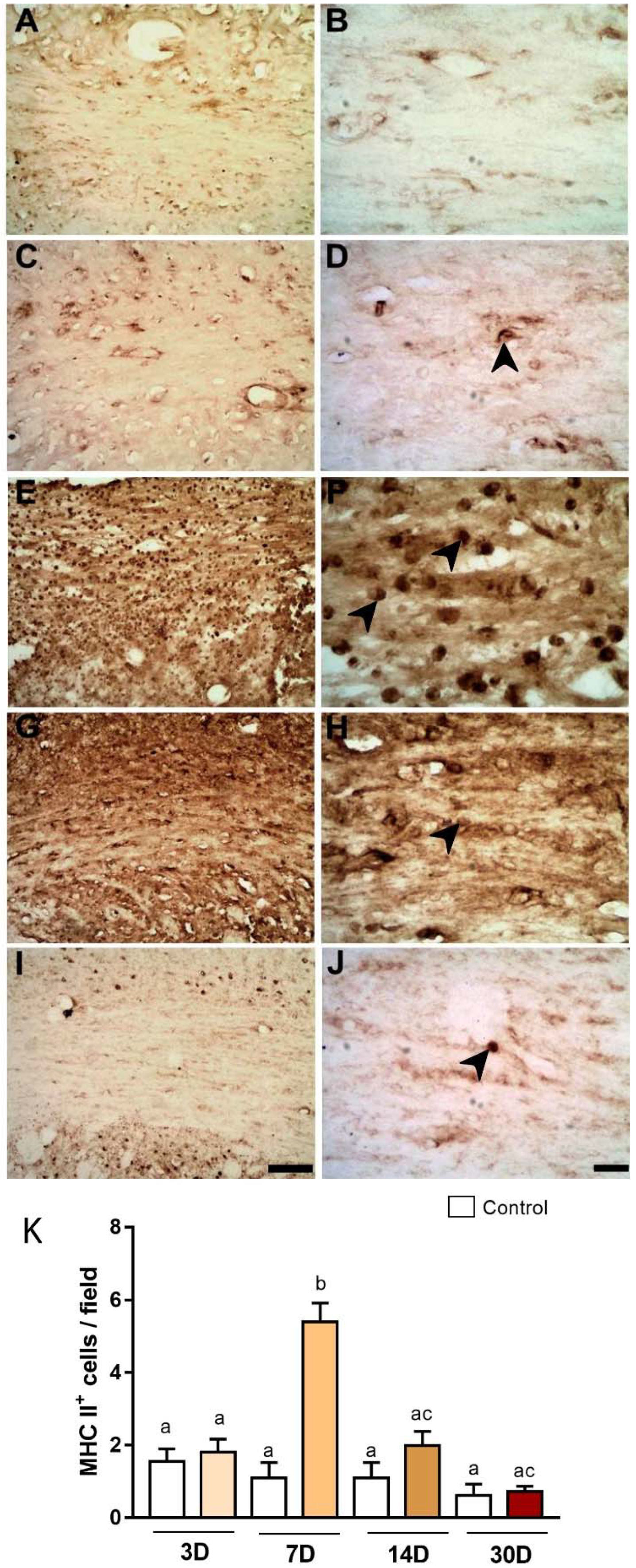 Ijms 23 03179 g003 550