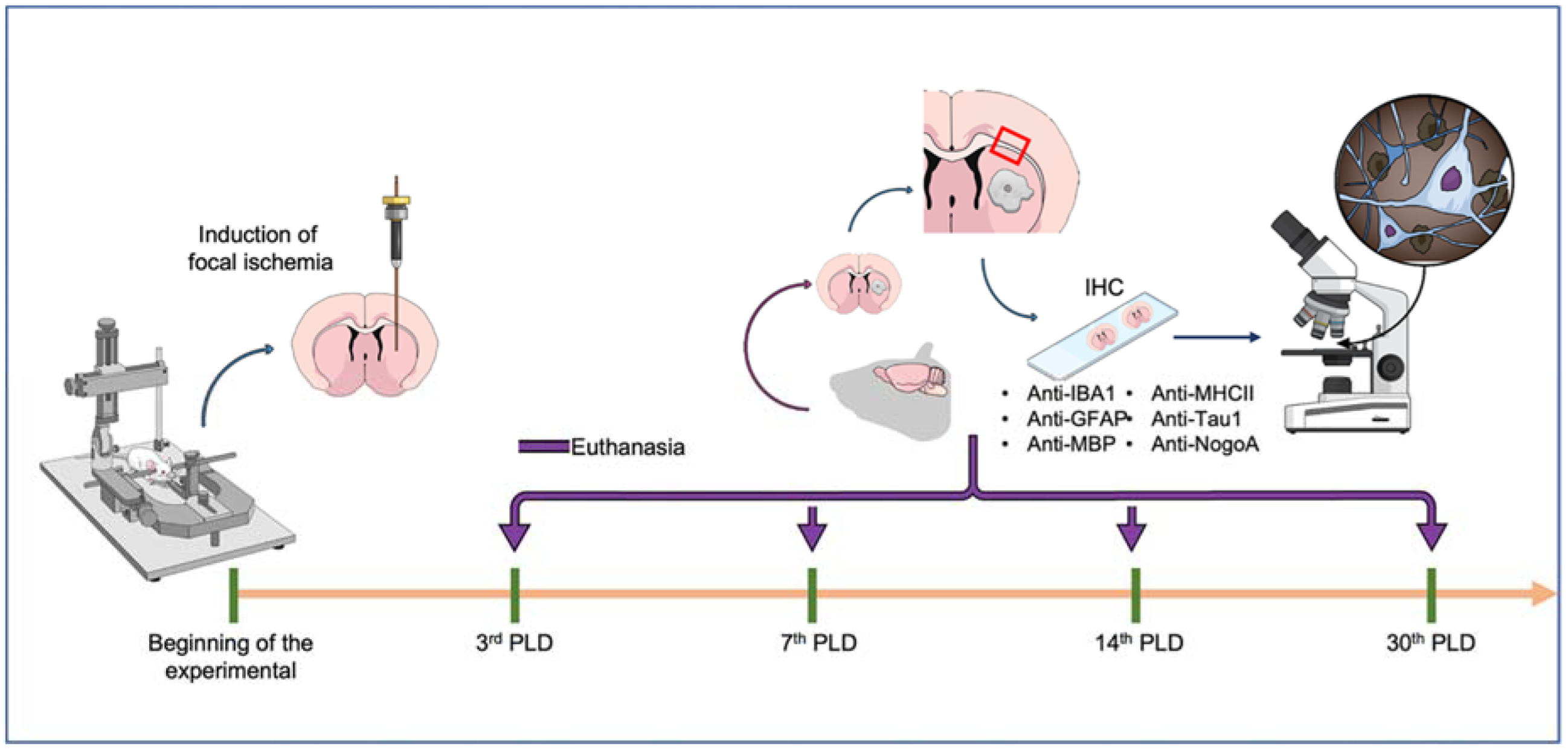 Ijms 23 03179 g008 550