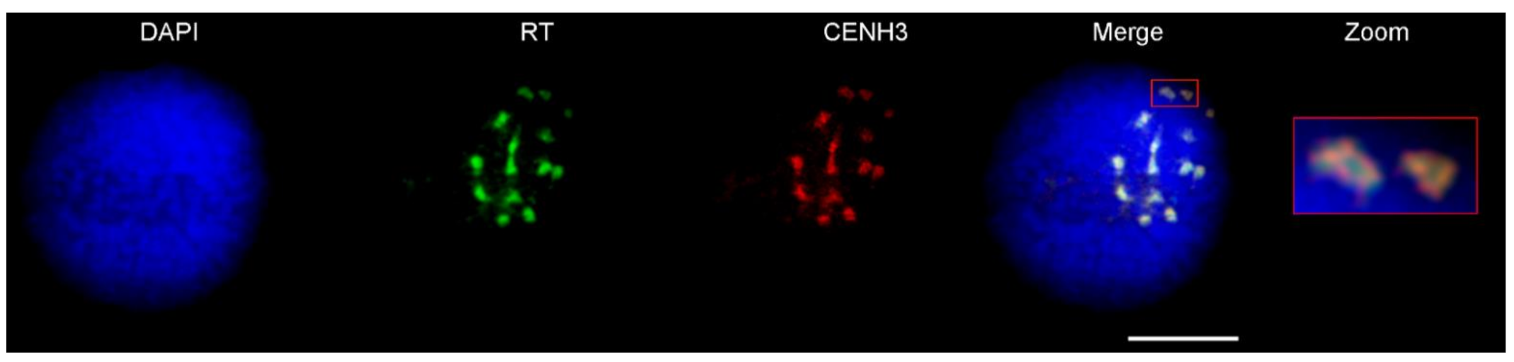 Ijms 23 03191 g002 Ijms 23 03191 g002