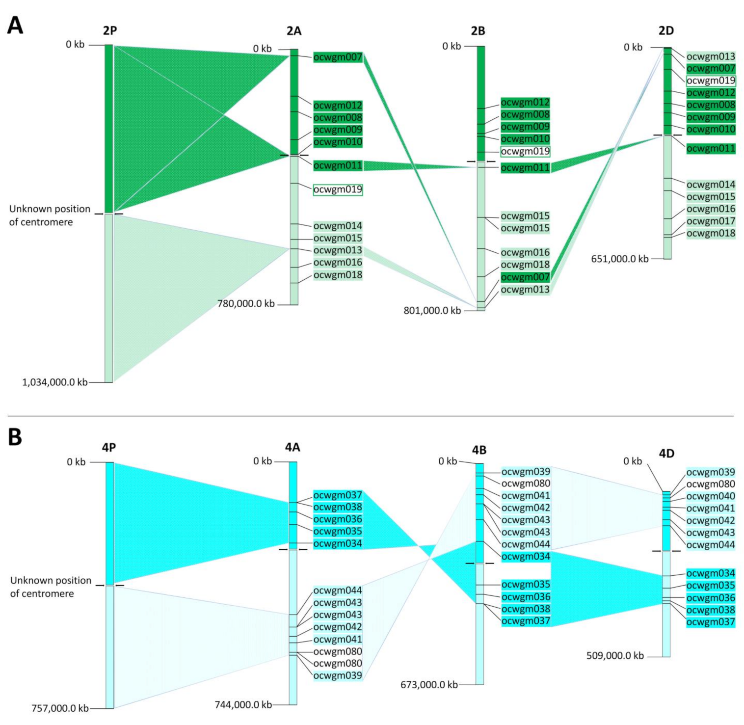 Ijms 23 03191 g004 Ijms 23 03191 g004