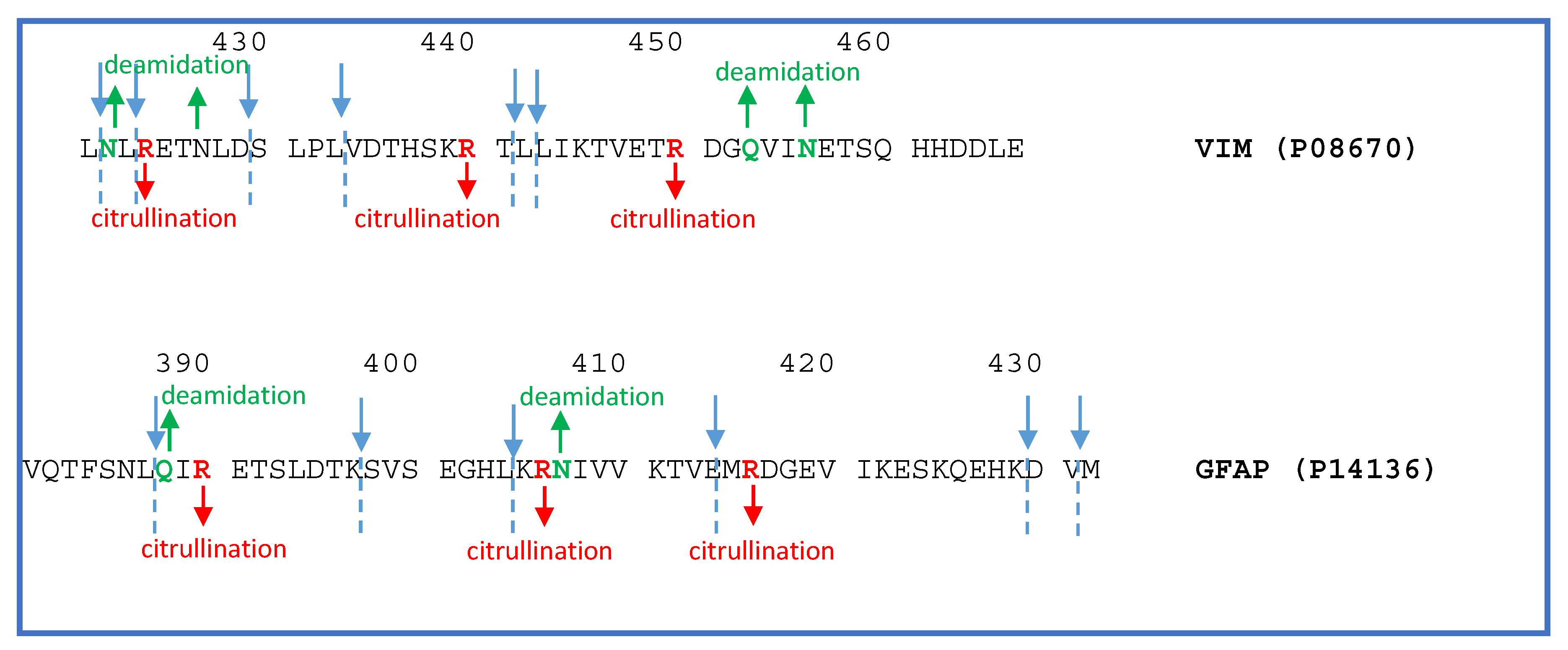 Ijms 23 03196 g009 550