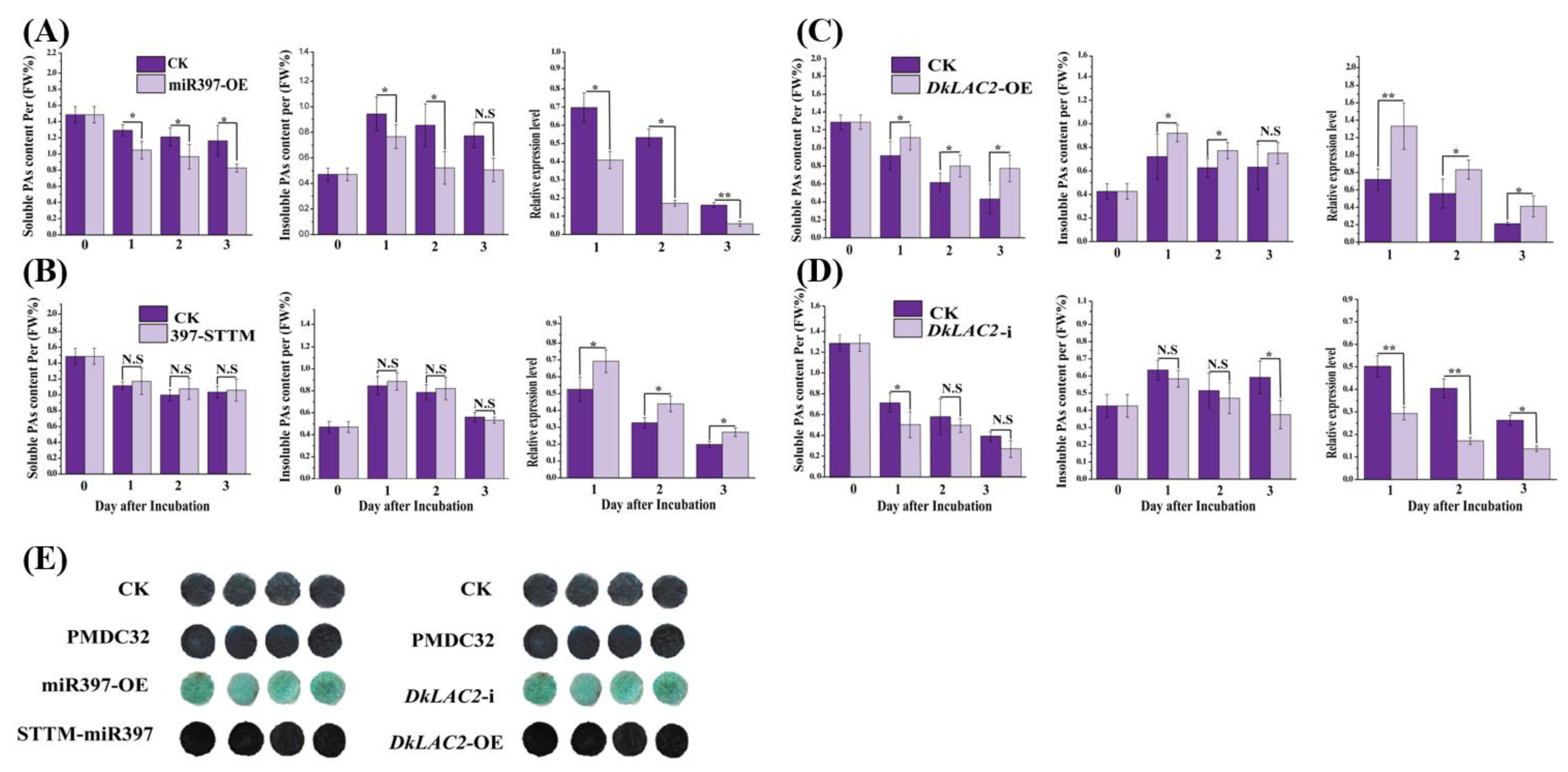 Ijms 23 03200 g004 550