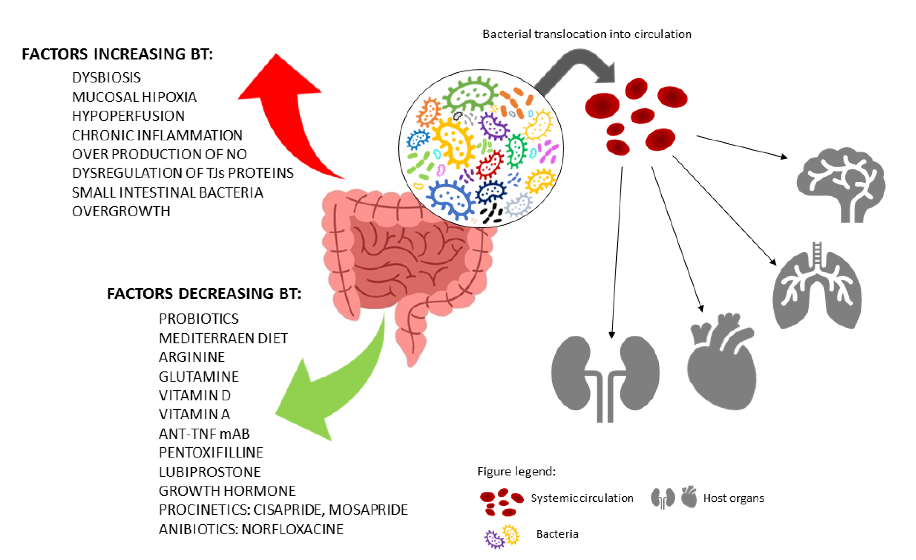 Ijms 23 03204 g002 Ijms 23 03204 g002