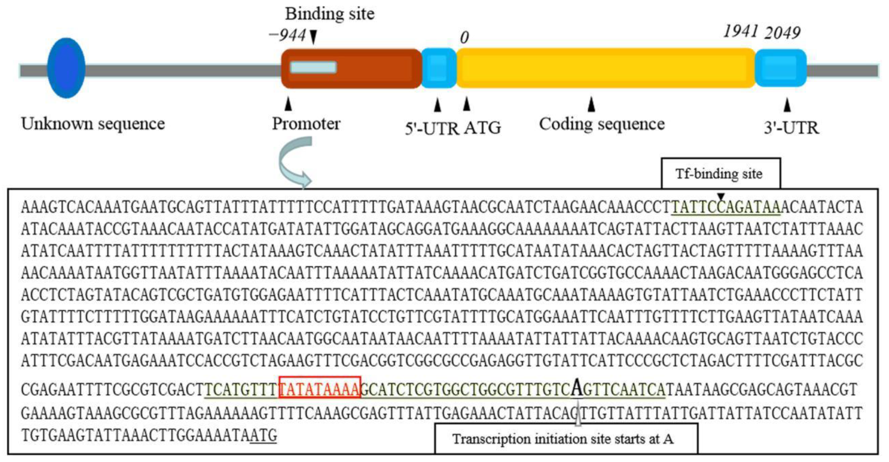 Ijms 23 03210 g001 550