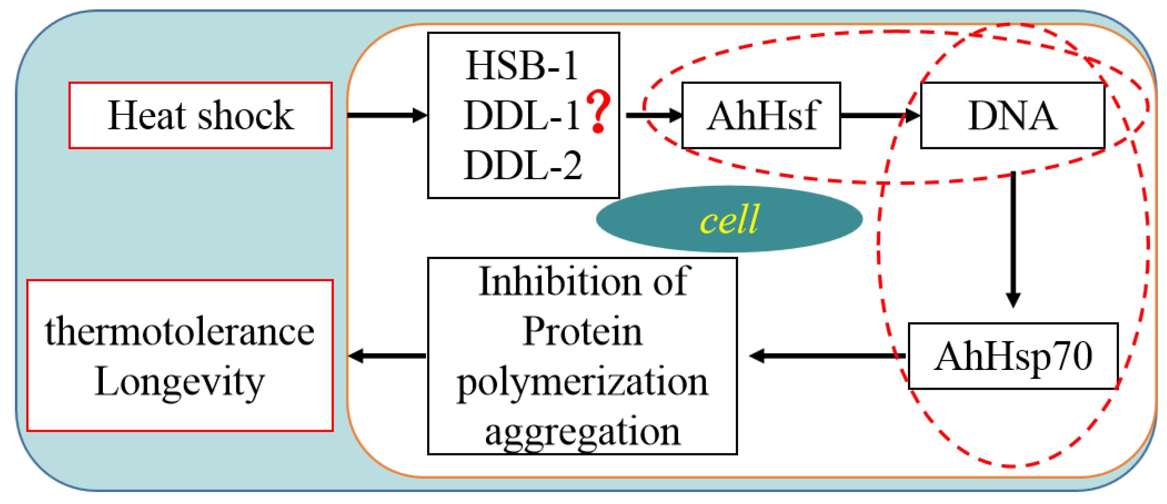 Ijms 23 03210 g006 550