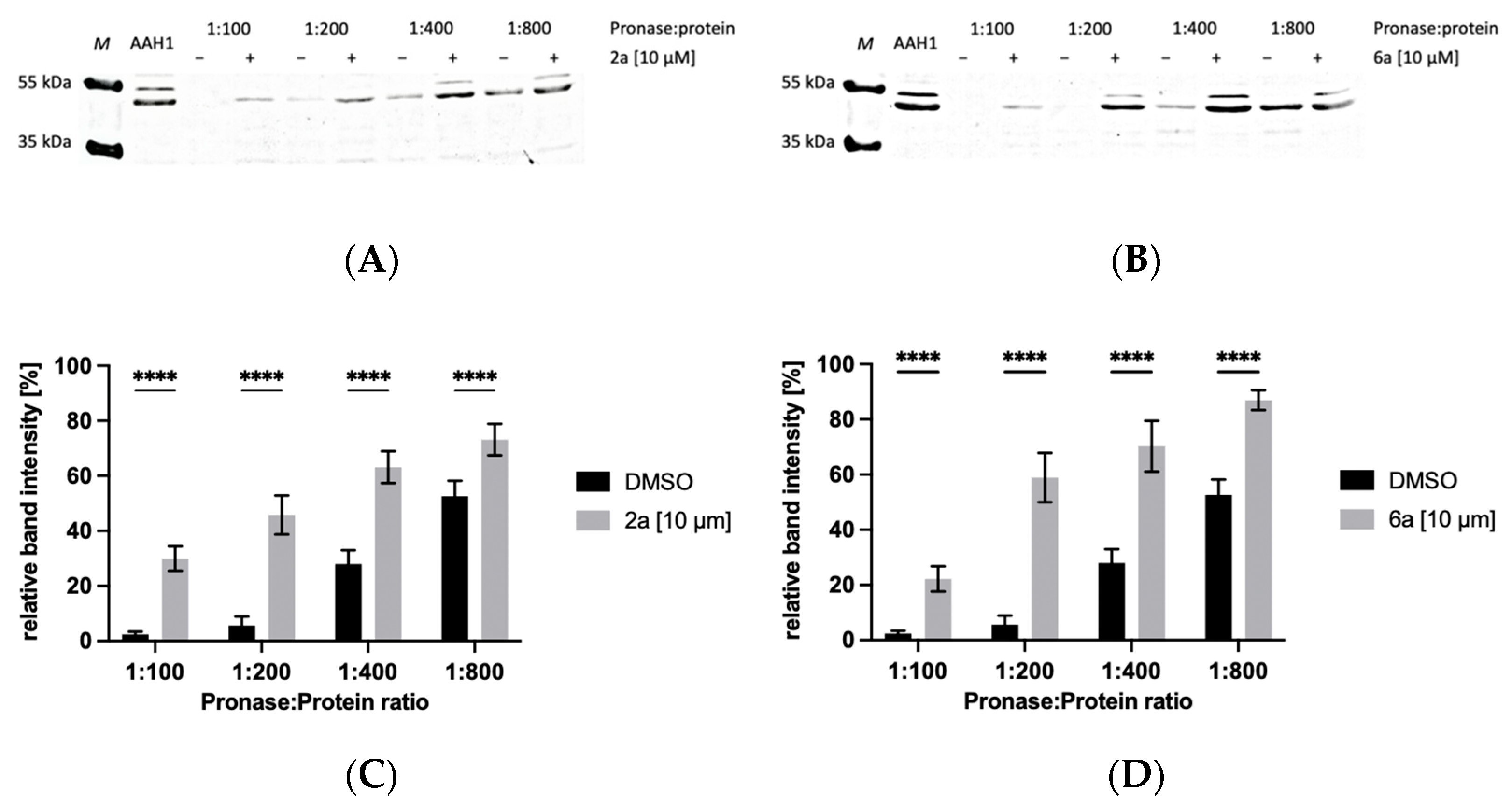 Ijms 23 03213 g004 550