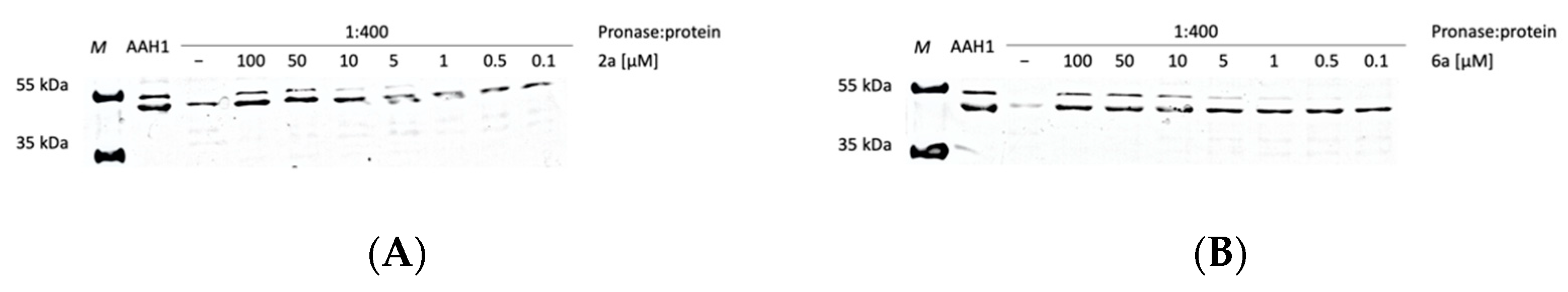 Ijms 23 03213 g005a 550