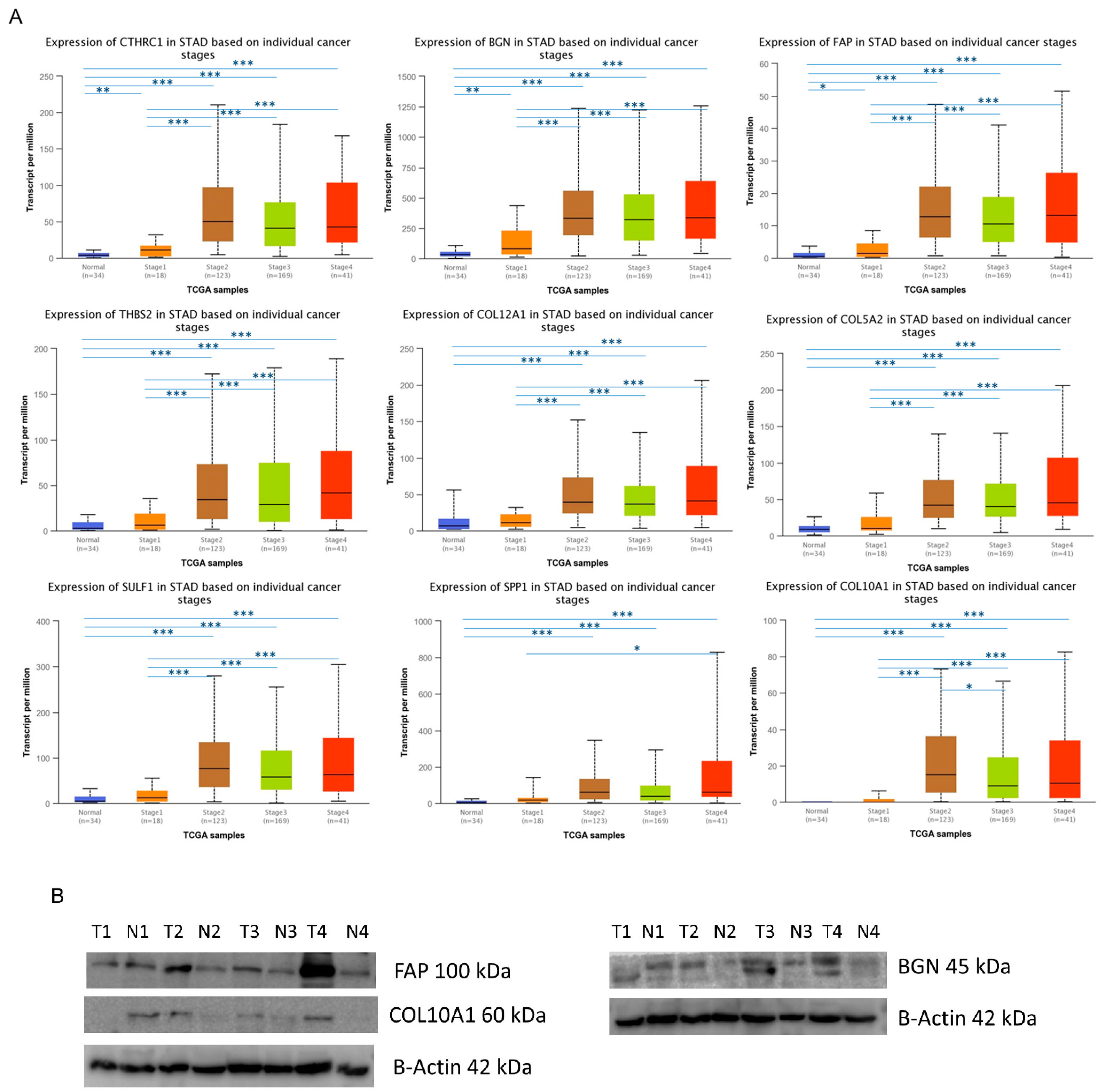 Ijms 23 03214 g004 550