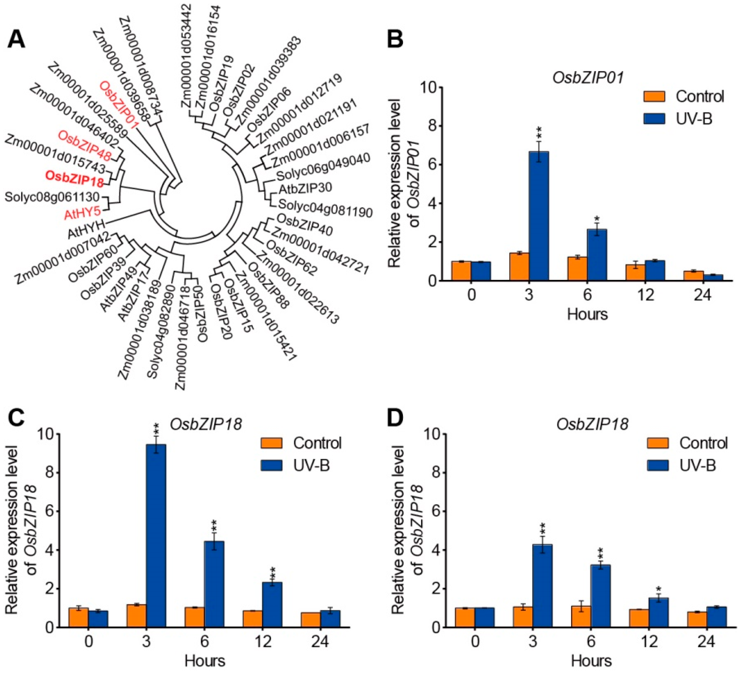 Ijms 23 03215 g002 550