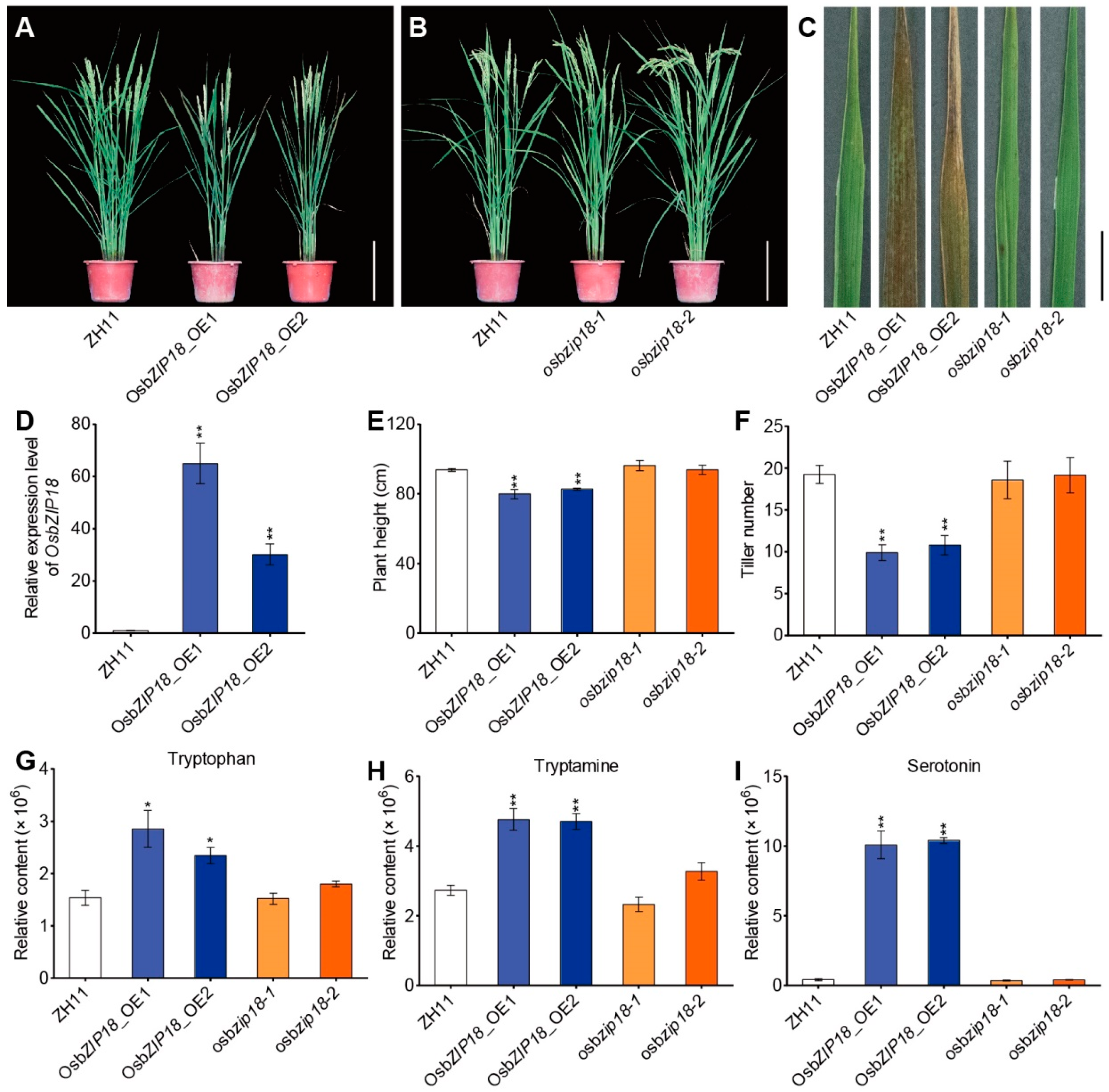 Ijms 23 03215 g003 550