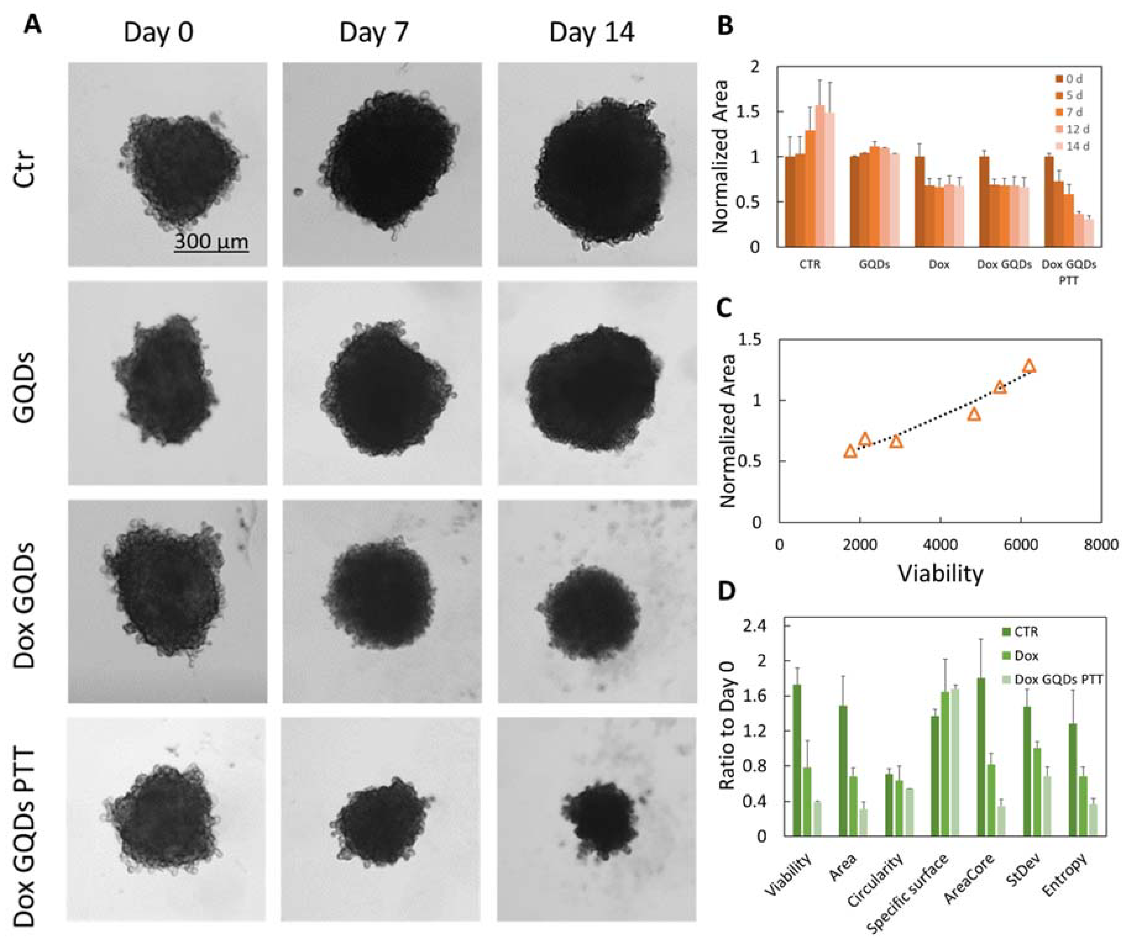 Ijms 23 03217 g004 550