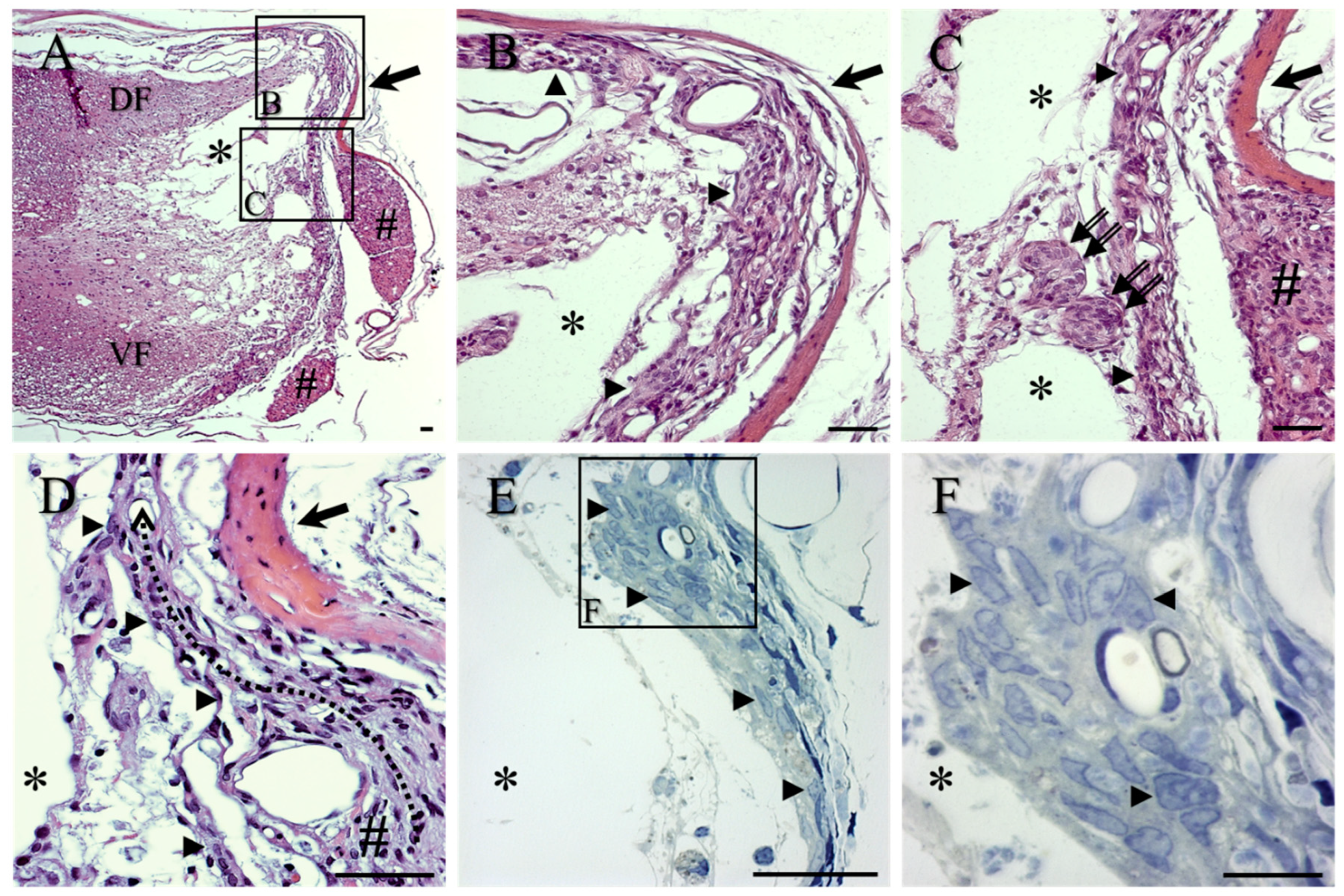 Ijms 23 03221 g002 550