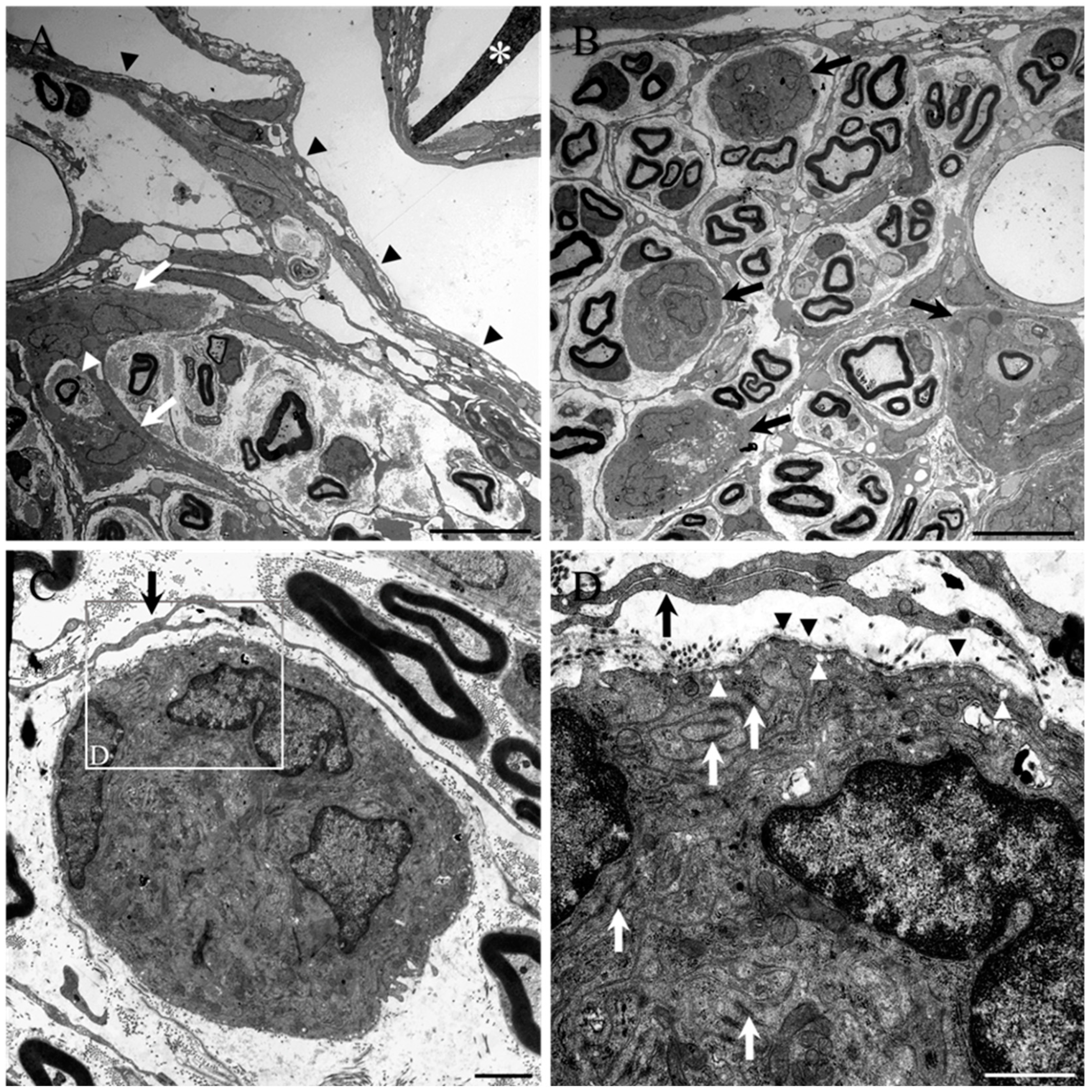 Ijms 23 03221 g005 550