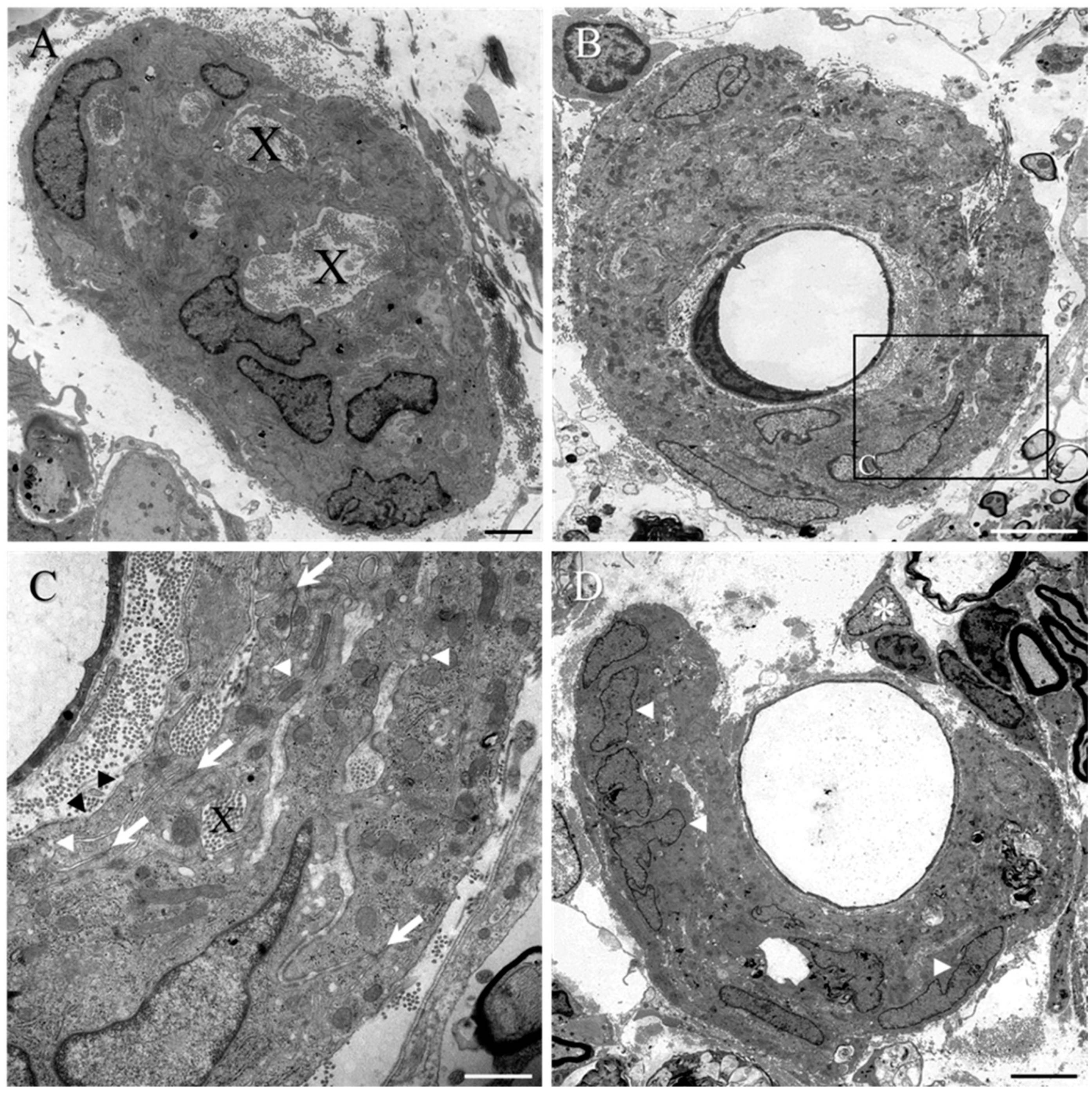 Ijms 23 03221 g007 550