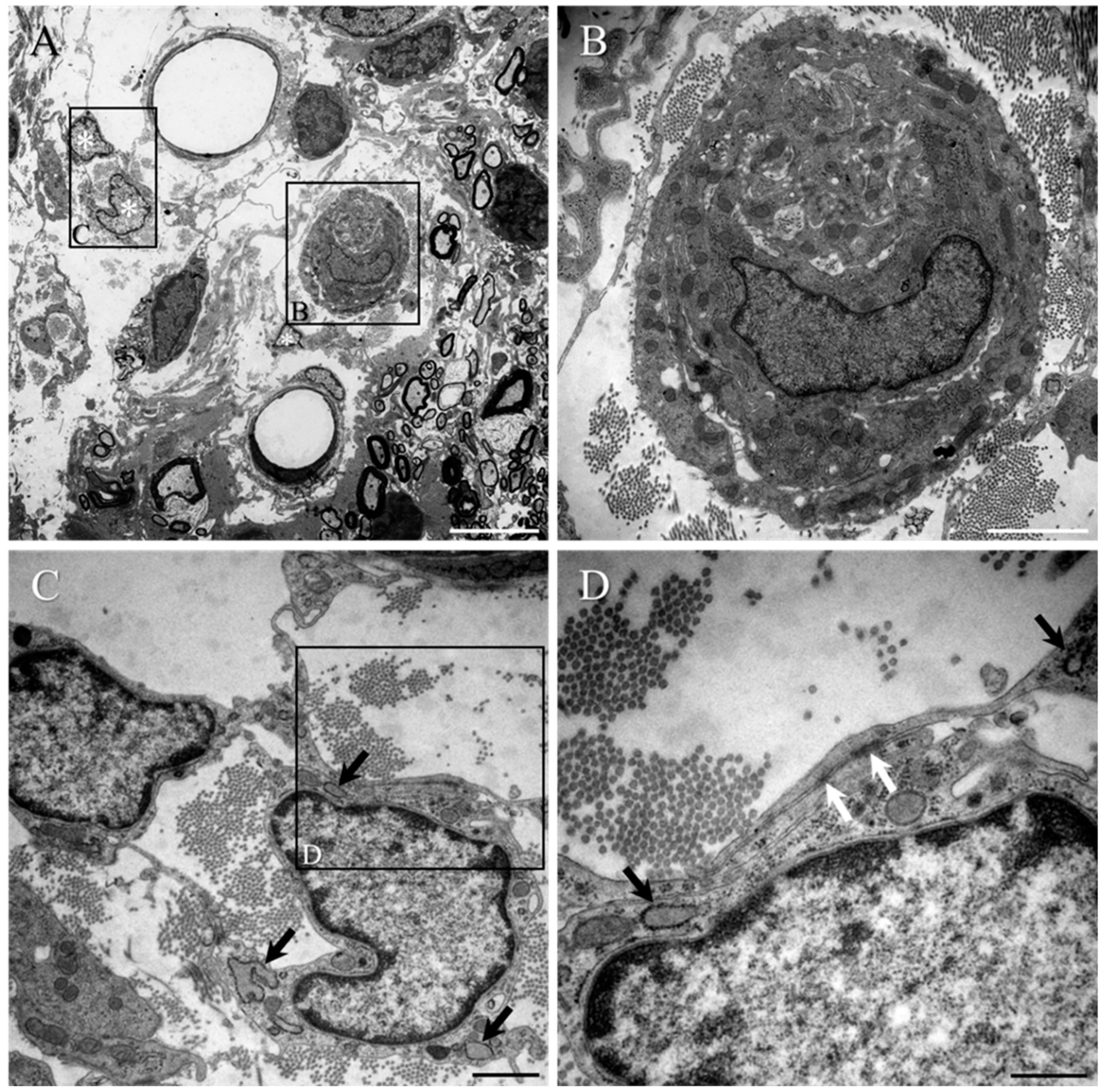 Ijms 23 03221 g008 550