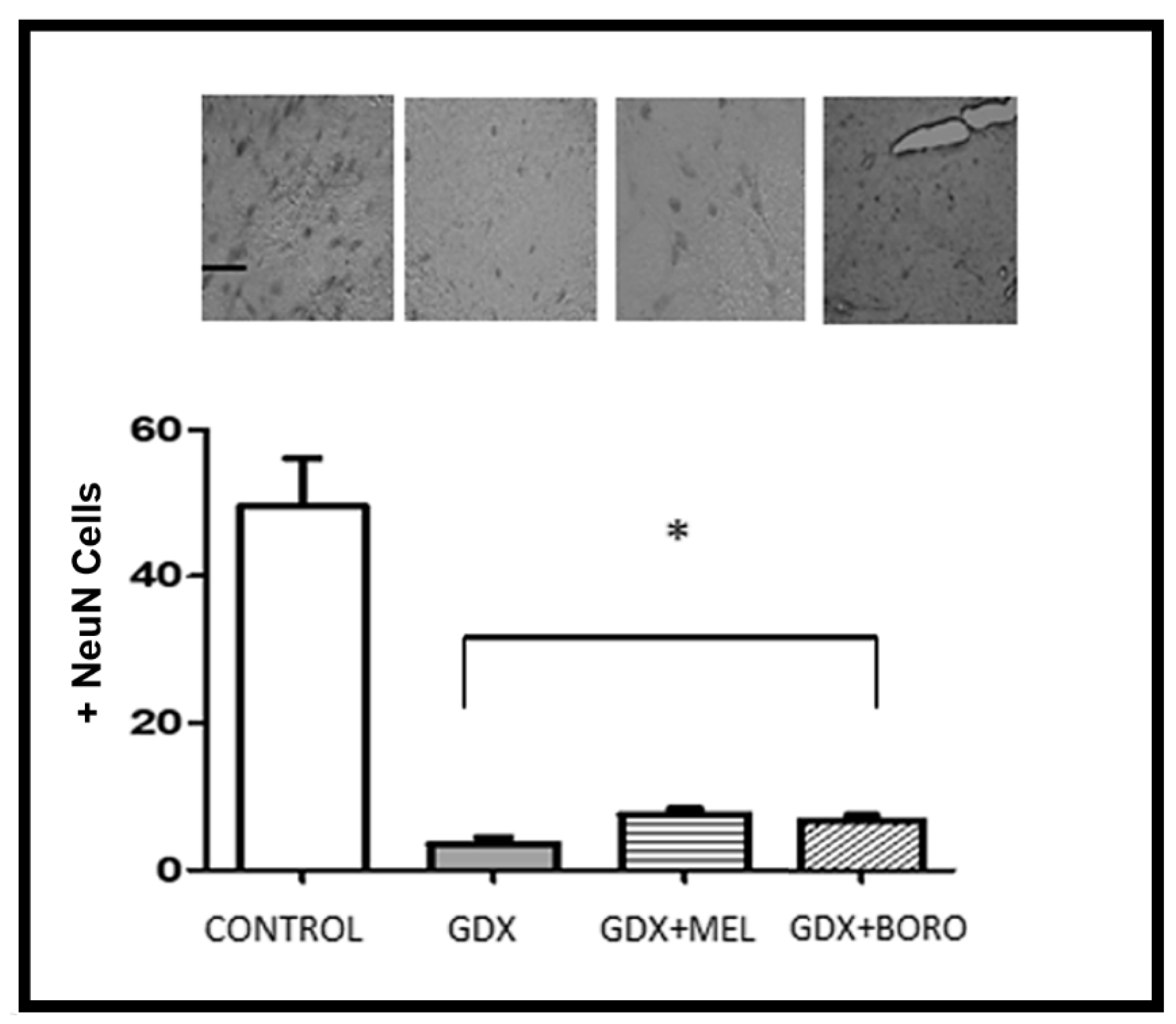 Ijms 23 03229 g010 550