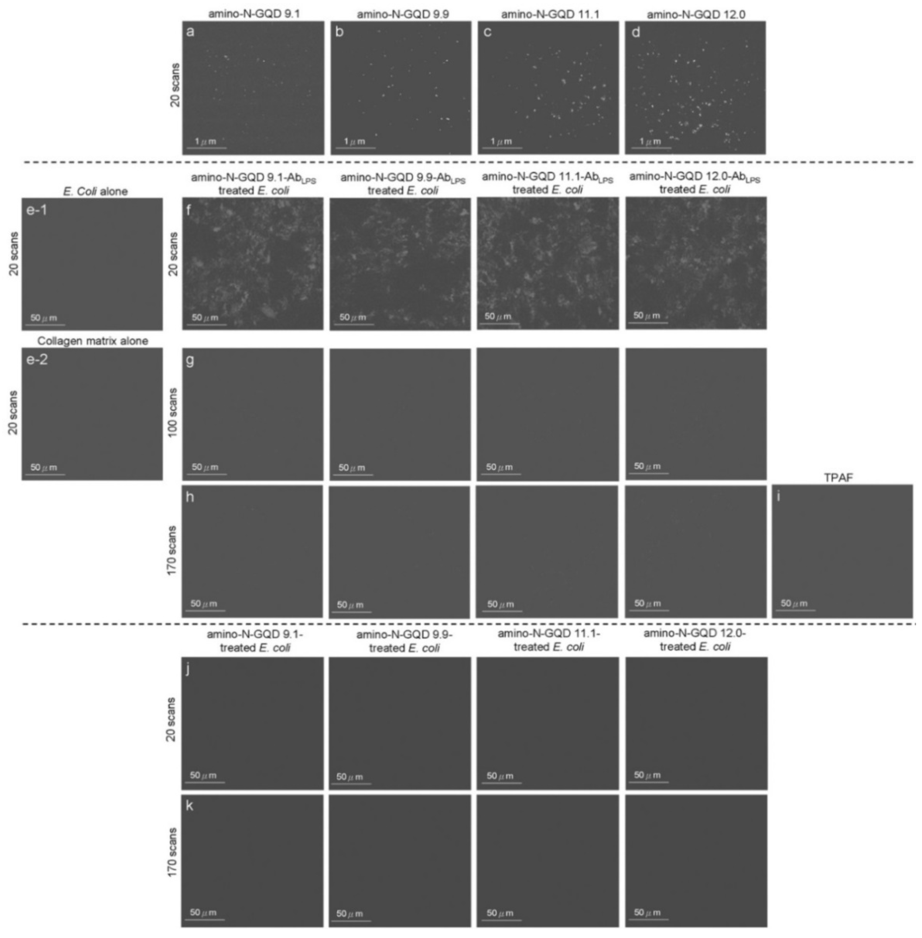 Ijms 23 03230 g003 550